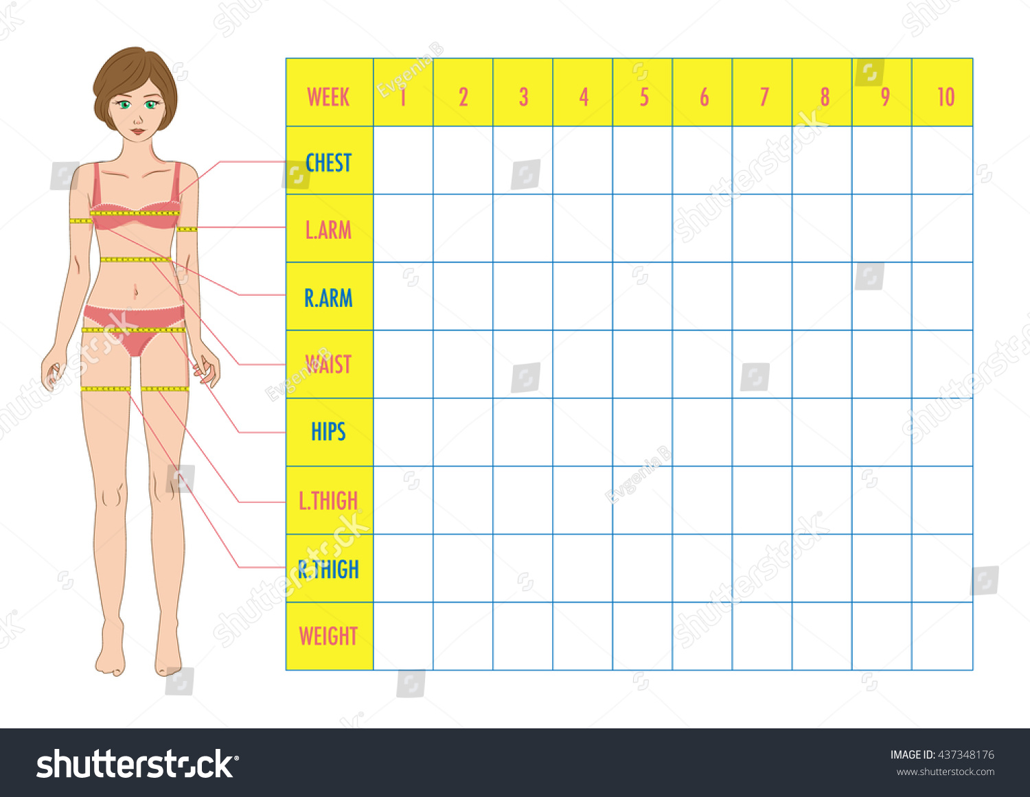 Weight Loss Measurement Chart