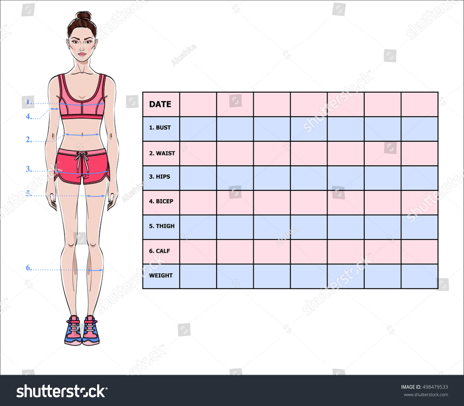 Measurement Chart Body Parameters Sport Diet Stock Vector
