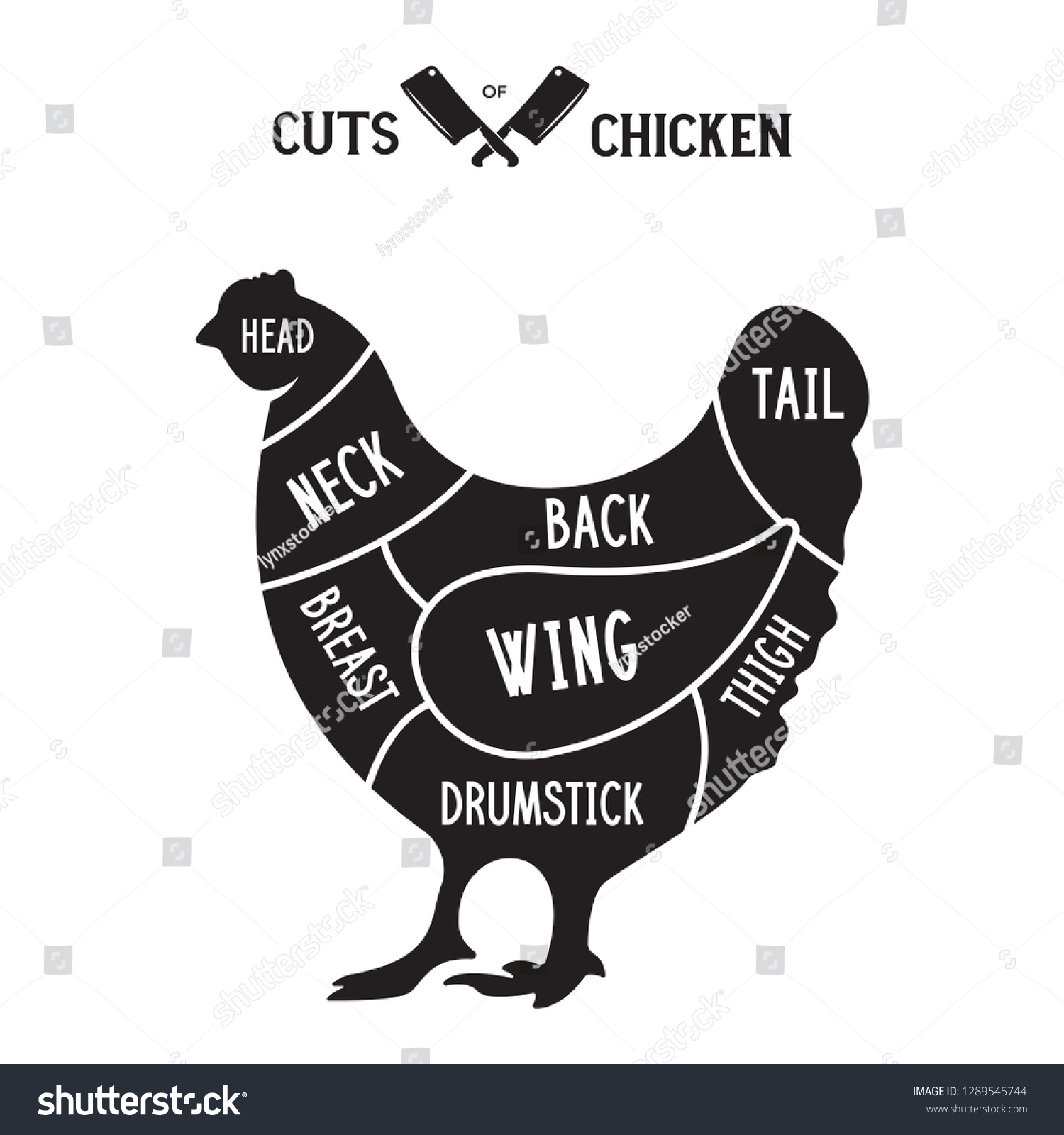 Meat Cuts Chicken Diagrams Butcher Shop Stock Vector (Royalty Free ...