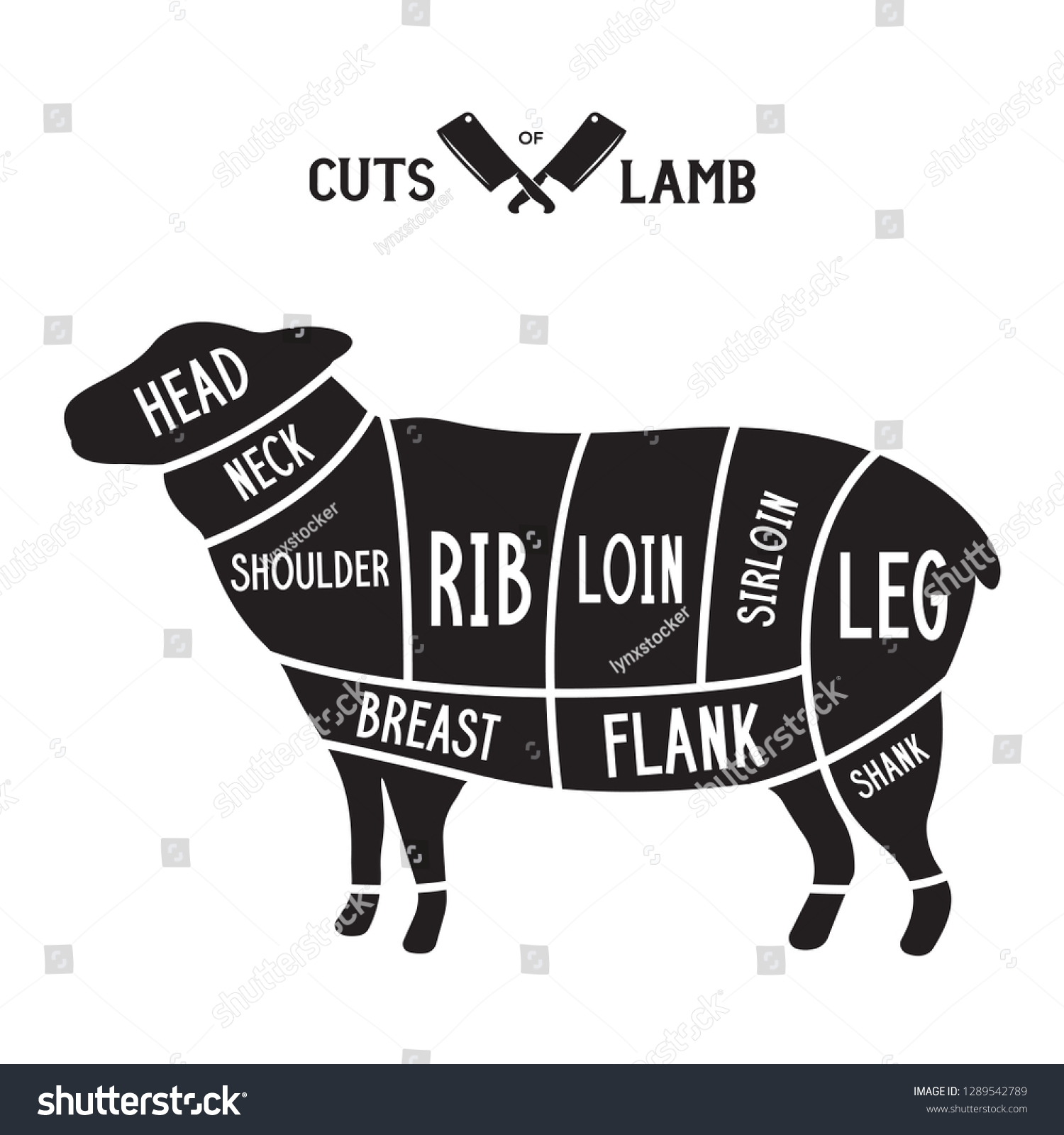 Meat Cuts Lamb Diagrams Butcher Shop Stock Vector (Royalty Free ...