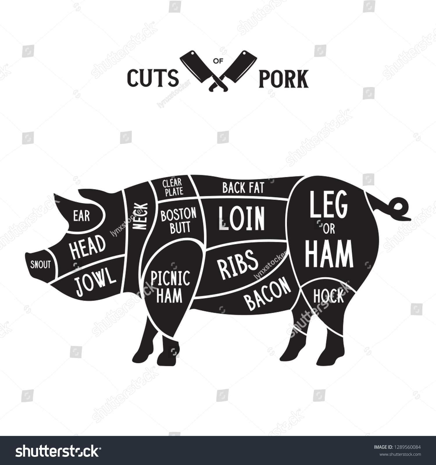 Meat Cuts Pork Diagrams Butcher Shop Stock Vector (Royalty Free ...