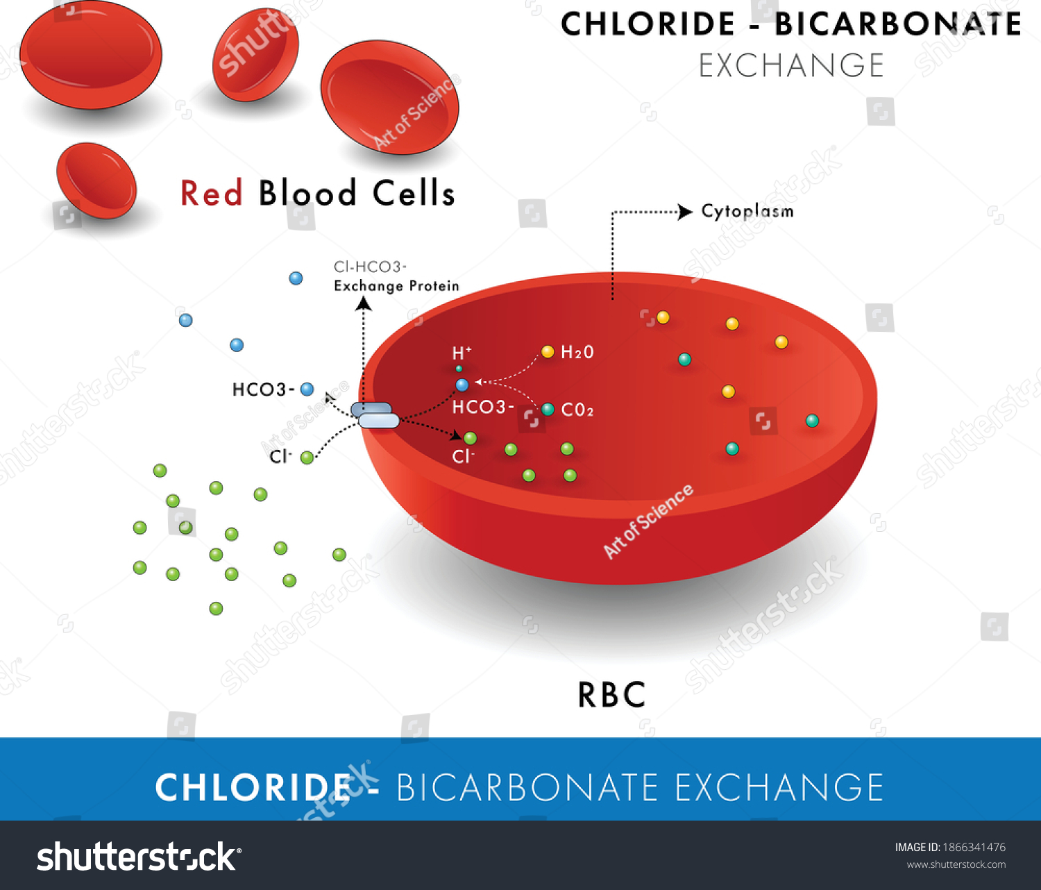 Chloride) Images, Stock Photos & Vectors | Shutterstock