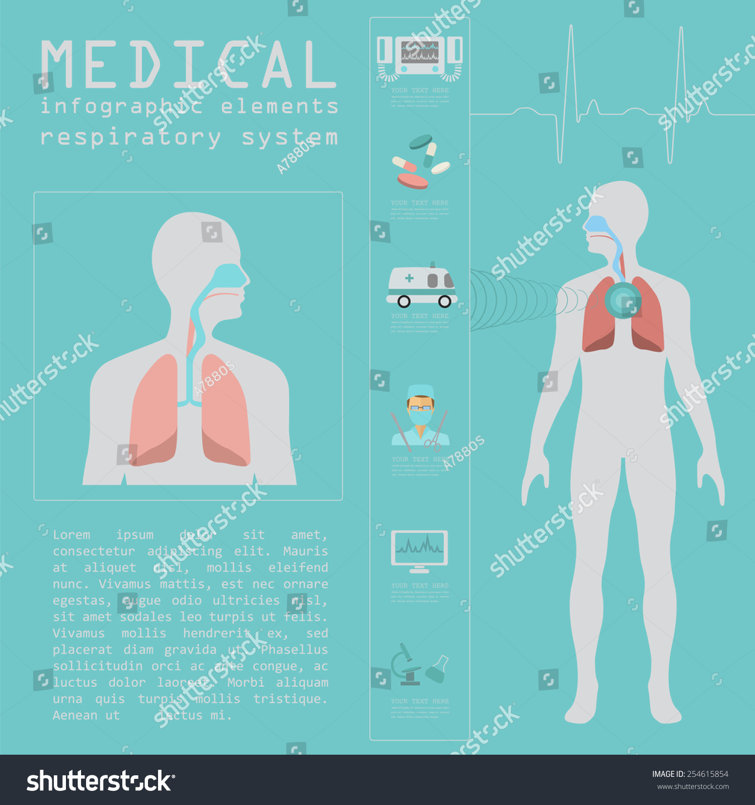 Respiratory System Infographic