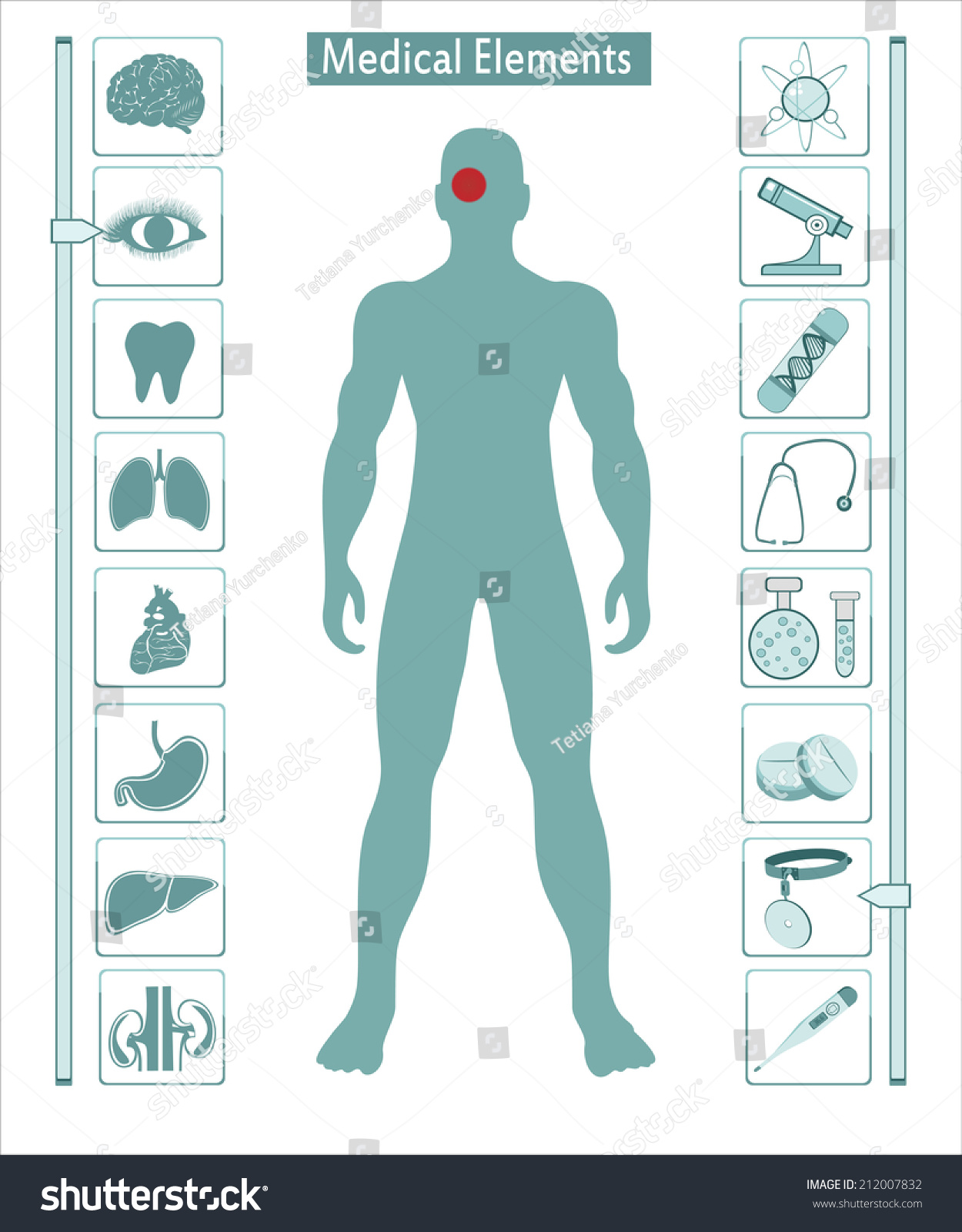 Download Medical Info Graphics Human Body Internal Stock Vector ...