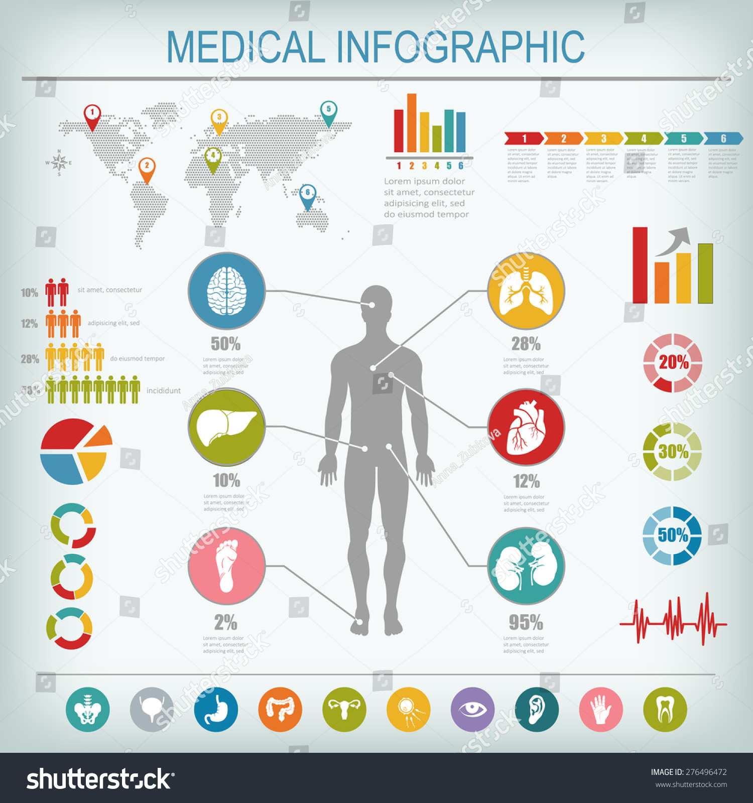 Medical Infographics Elements Human Body Internal Stock Vector