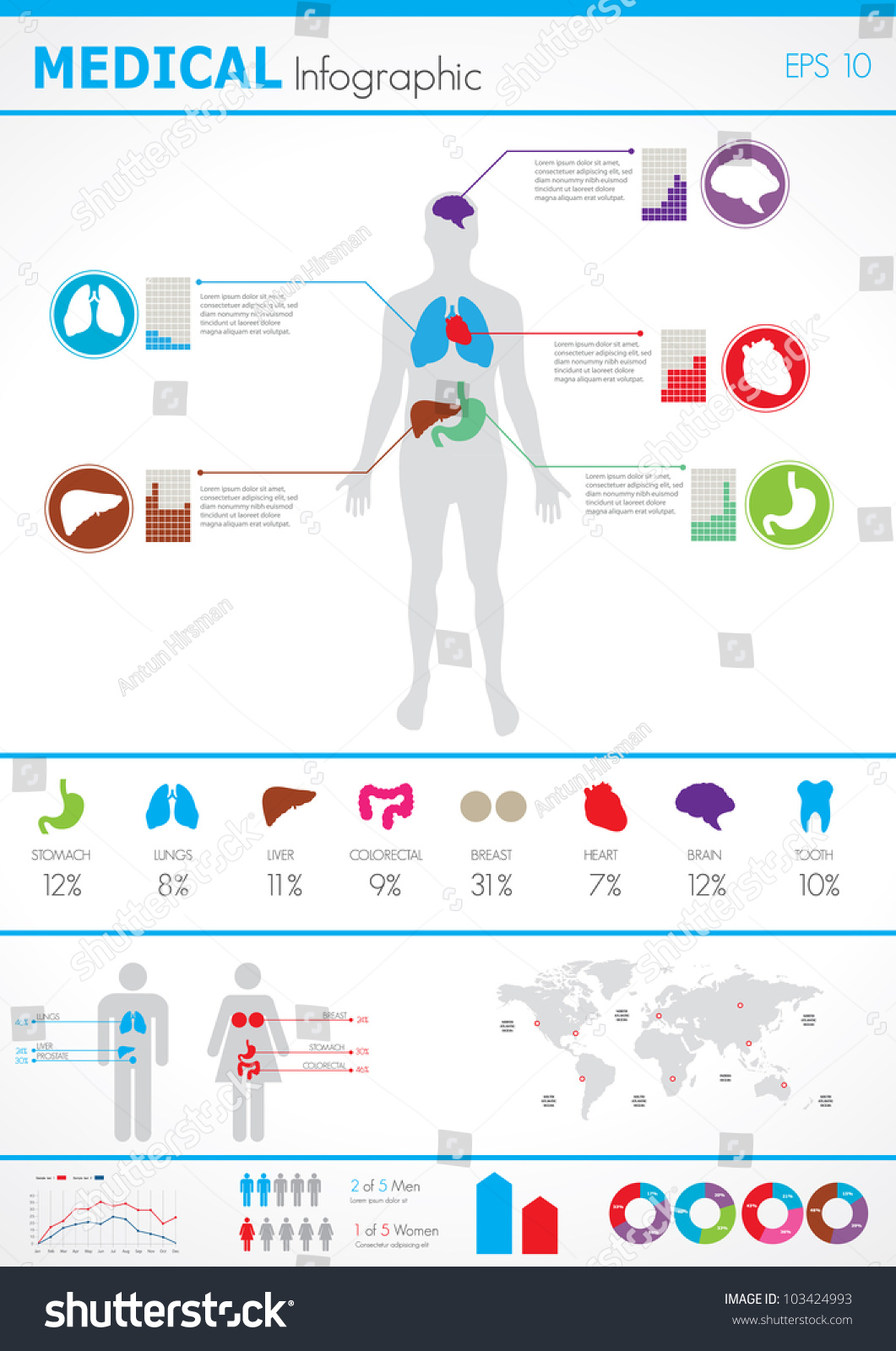 Medical Infographics. Human Body With Internal Organs Stock Vector ...