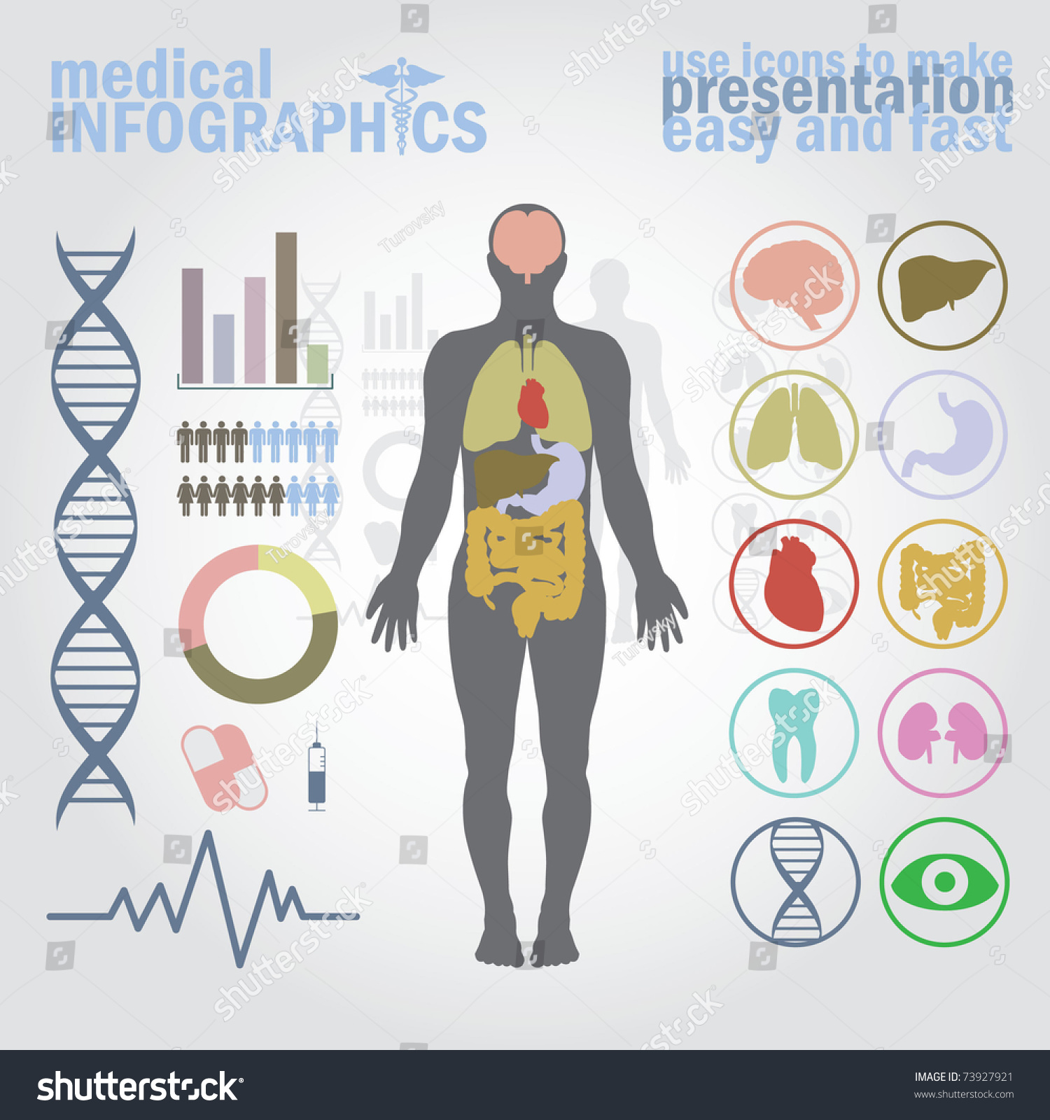 Medical Infographics Presentation Set Human Body Stock Vector 73927921 ...
