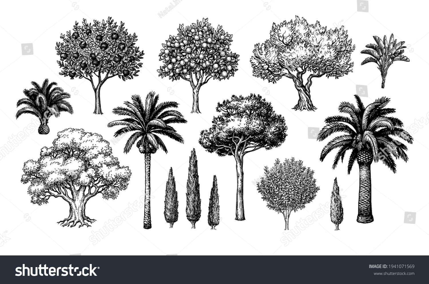 SVG of Mediterranean trees. Big collection. Ink sketch isolated on white background. Hand drawn vector illustration. Retro style. svg