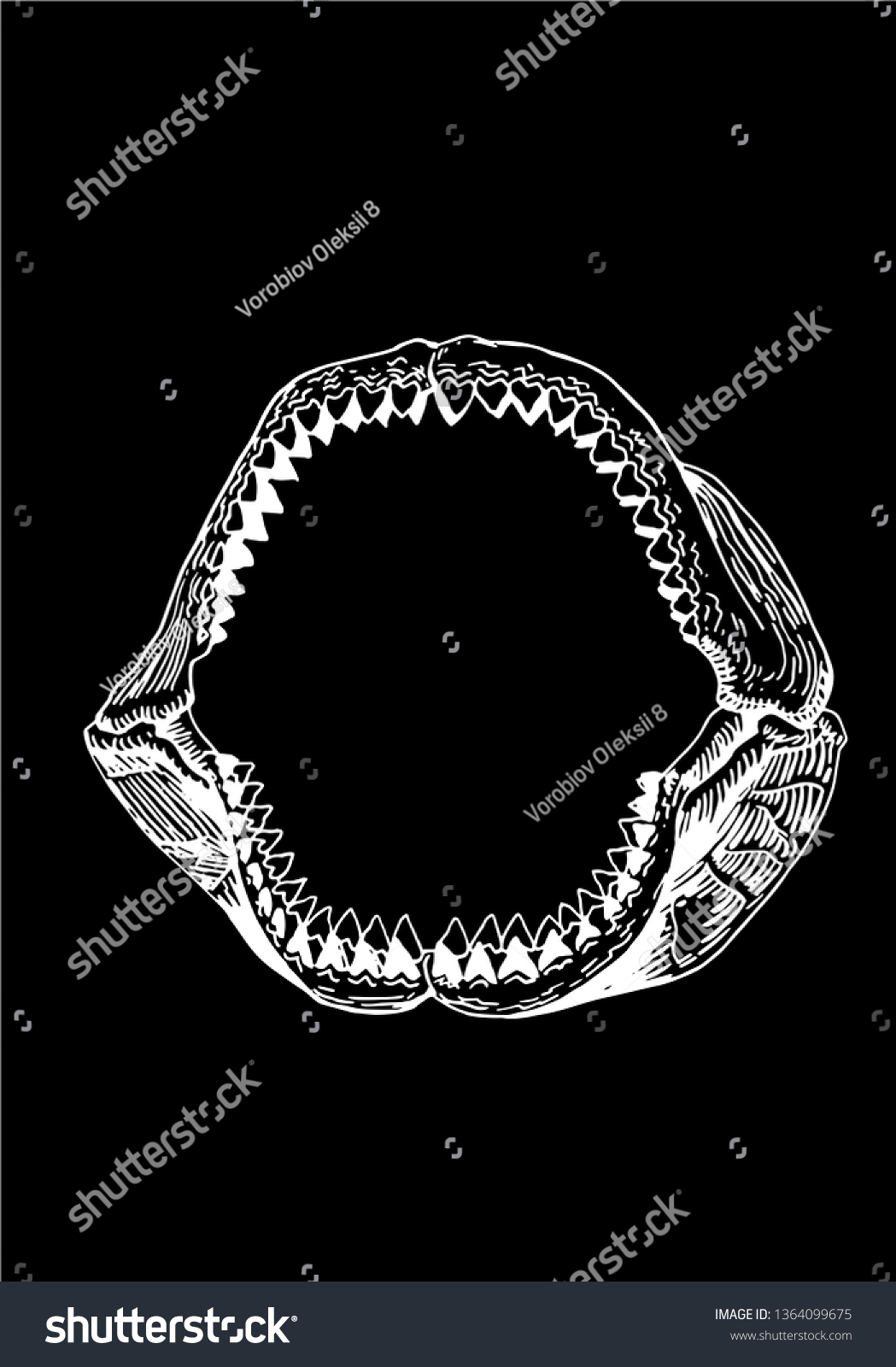 Megalodon Jaw Shark Jaw Isolated On Stock Vector (Royalty Free ...