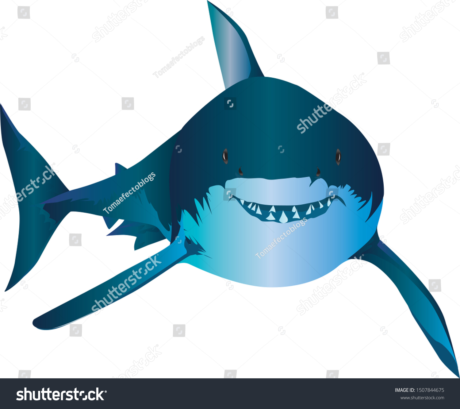 Megalodon Vector Megalodon Shark Vector Stock Vector (Royalty Free ...