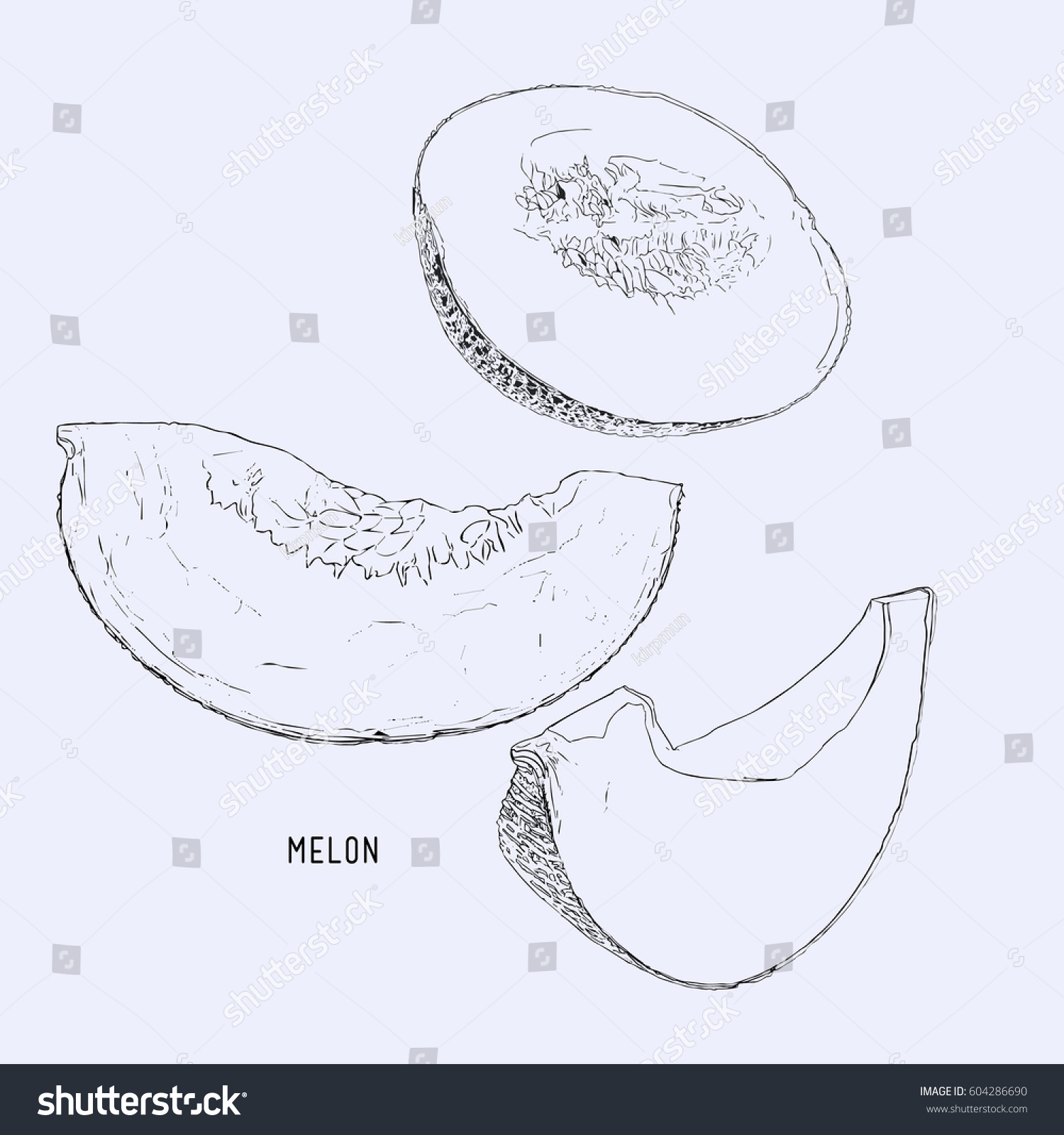 Melon Hand Drawn Design Isolated On Vector De Stock Libre De Regalías 604286690 Shutterstock 4423