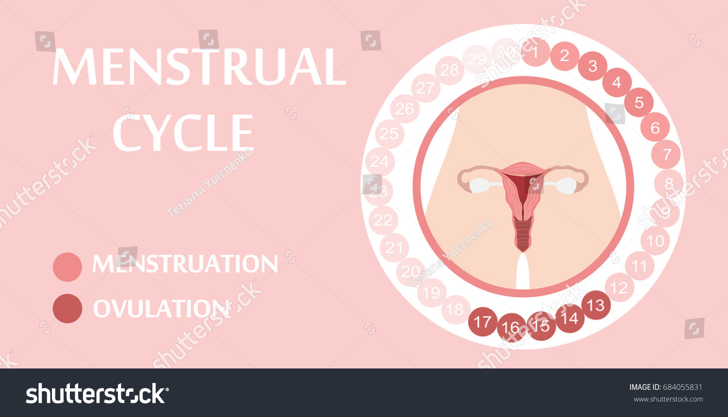 Menstrual Cycle Planner Design Stock Vector (Royalty Free) 684055831