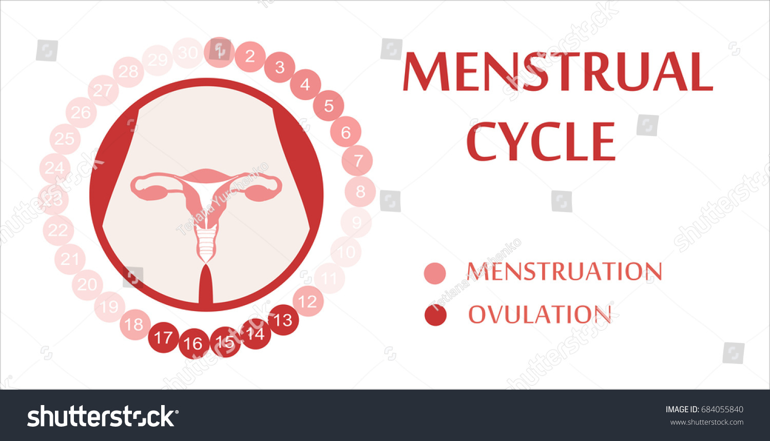 Menstrual Cycle Planner Design Stock Vector (Royalty Free) 684055840 ...