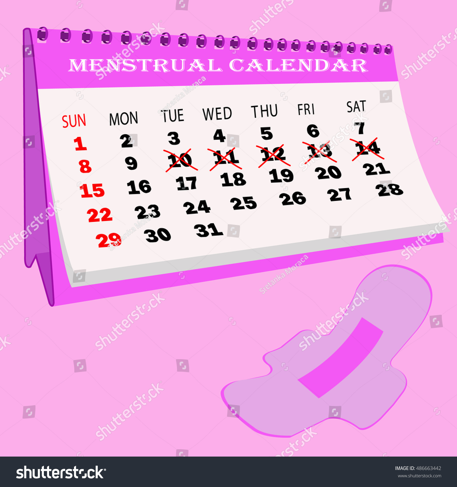 Menstruation Calendar Cotton Tampons Woman Hygiene Stock Vector