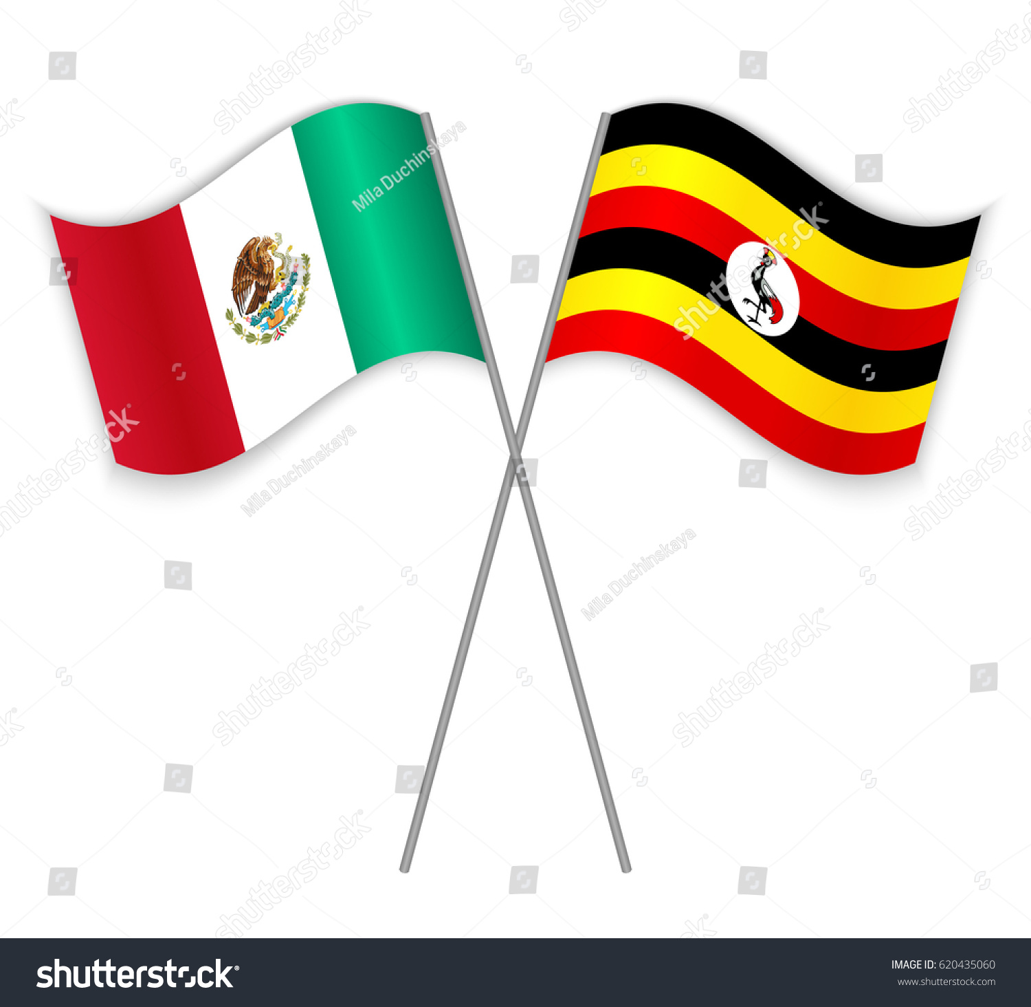 Mexican Ugandan Crossed Flags Mexico Combined Stock Vector ...