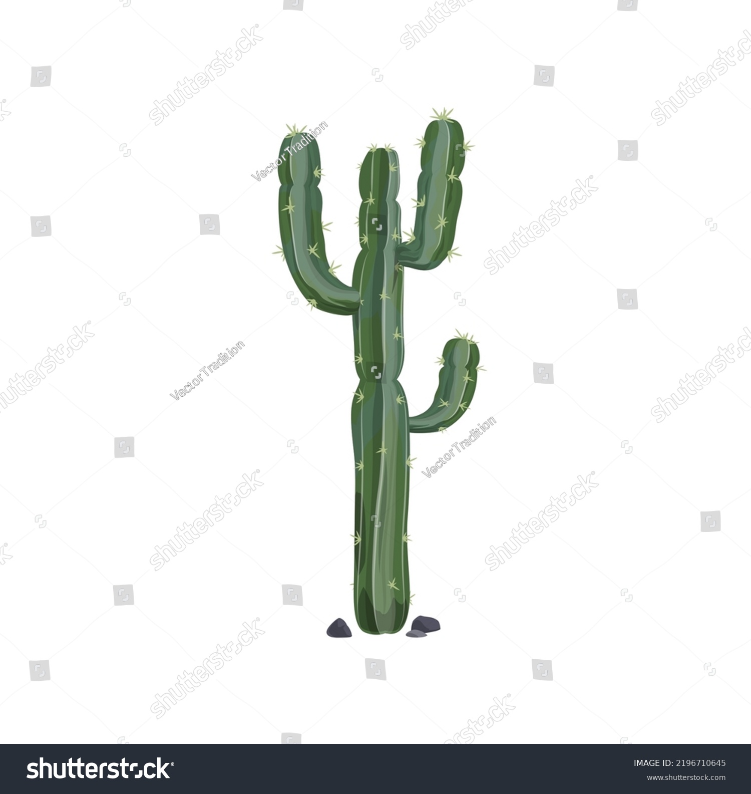 SVG of Mexican giant cardon or elephant cactus, western cactus tropical succulent grown in desert isolated. Vector indians and native americans cacti with thorns, prickly succulent plant tall spiky tree svg