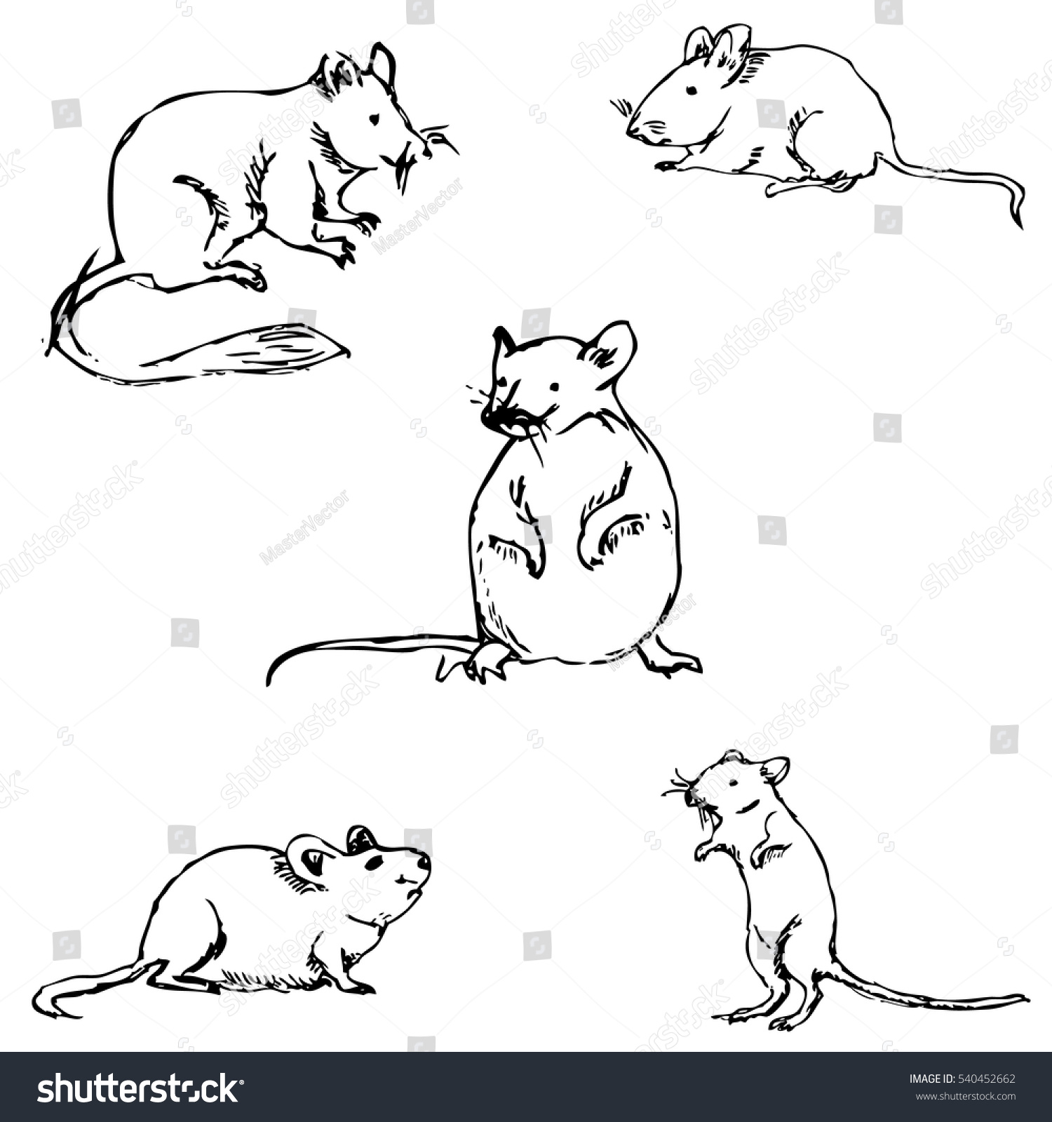 Mice Sketch By Hand Pencil Drawing Stock Vector (Royalty Free) 540452662