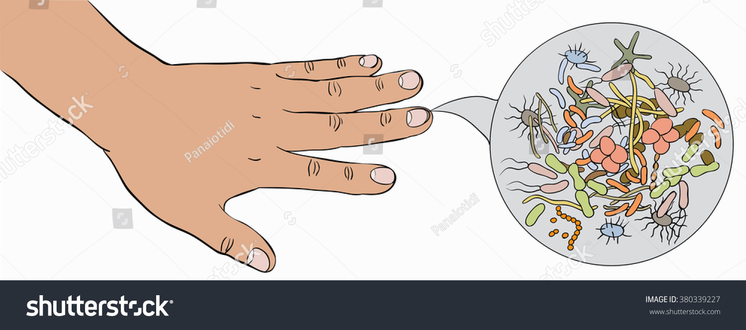 Microbes Under Fingernails Child Stock Vector Royalty Free