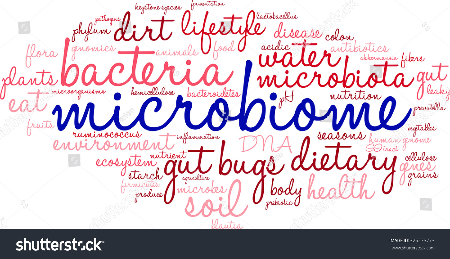 Microbiome Word Cloud On White Background Stock Vector (Royalty Free ...