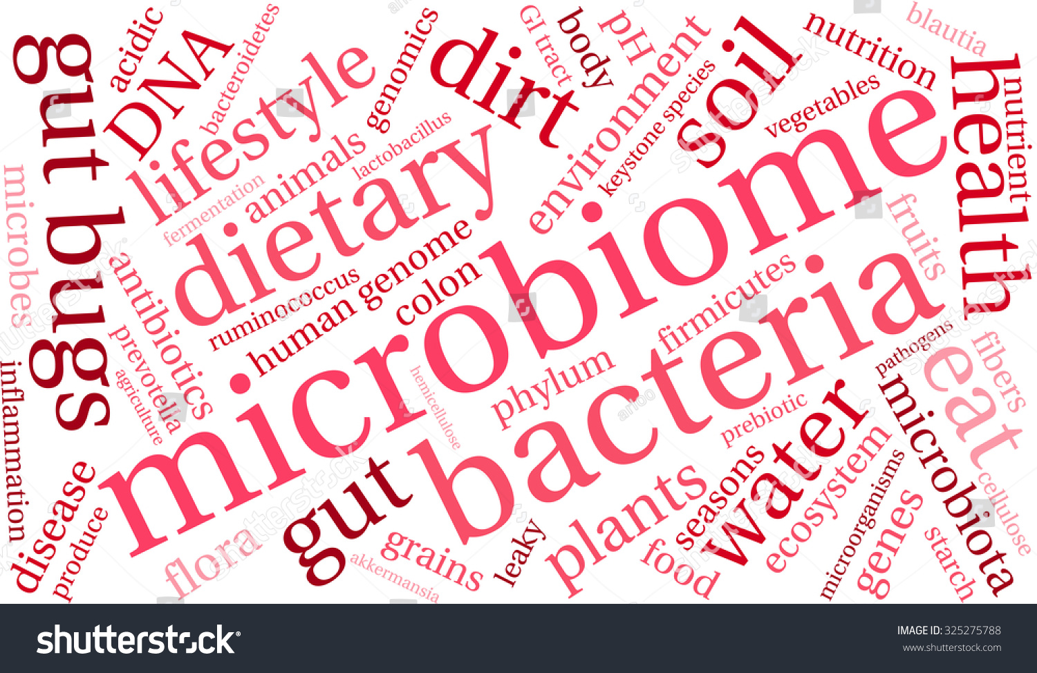 Microbiome Word Cloud On White Background Stock Vector (Royalty Free ...