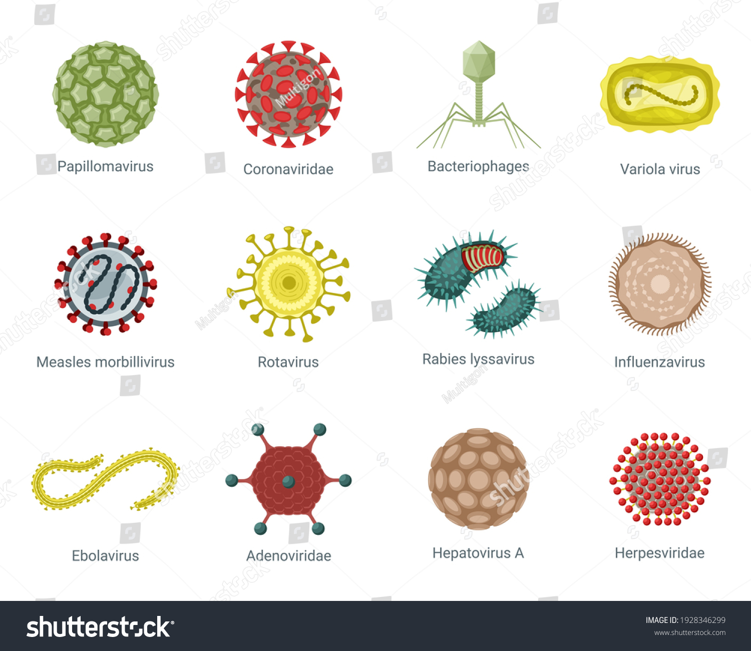 Microscopic Structure Viruses Set Round Pinch Stock Vector (Royalty ...