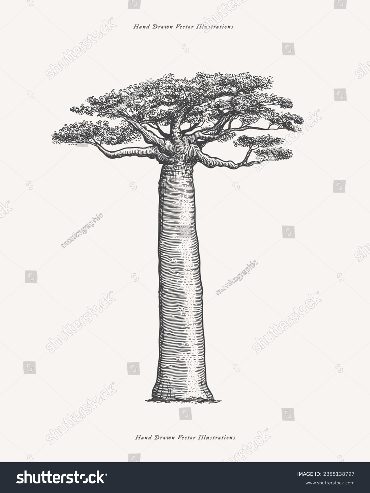 SVG of Mighty baobab in engraving style. Hand-drawn giant african savannah plant. Vintage botanical illustration on a light isolated background.  svg