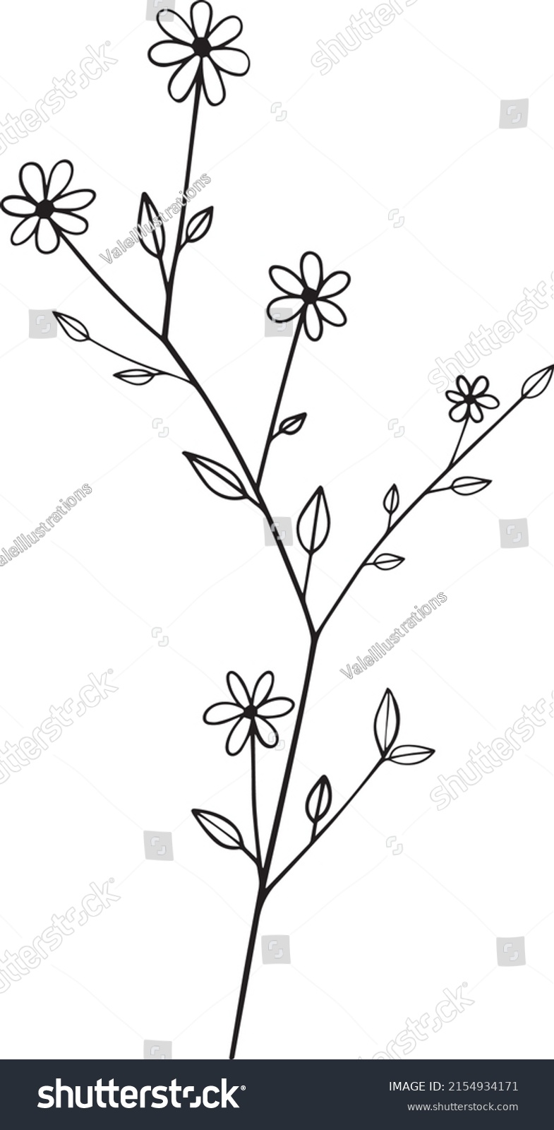 Minimalistic Botanical Illustration Line Art Style Stock Vector ...