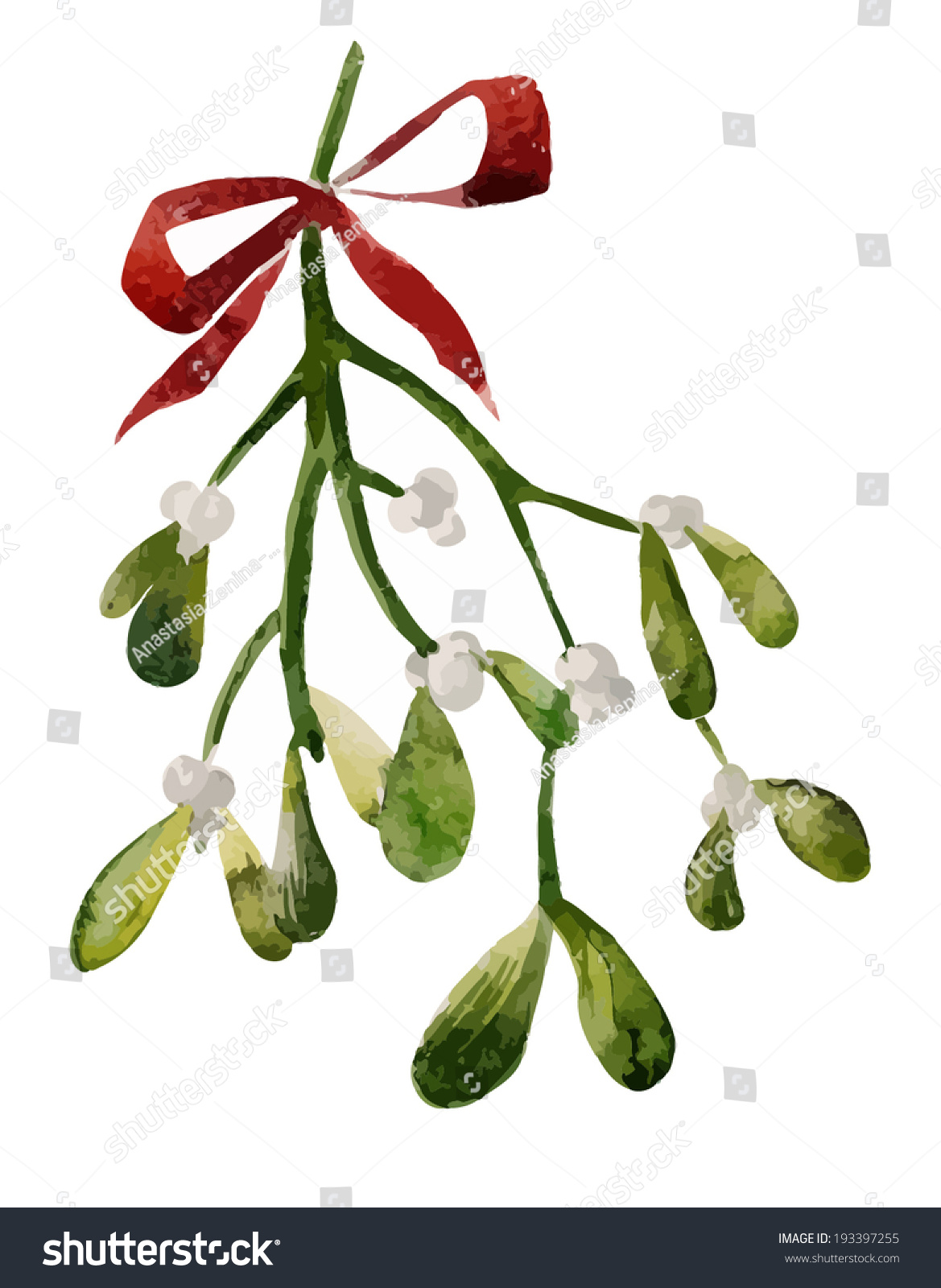 Mistletoe Christmas Watercolor Stock Vector 193397255 - Shutterstock