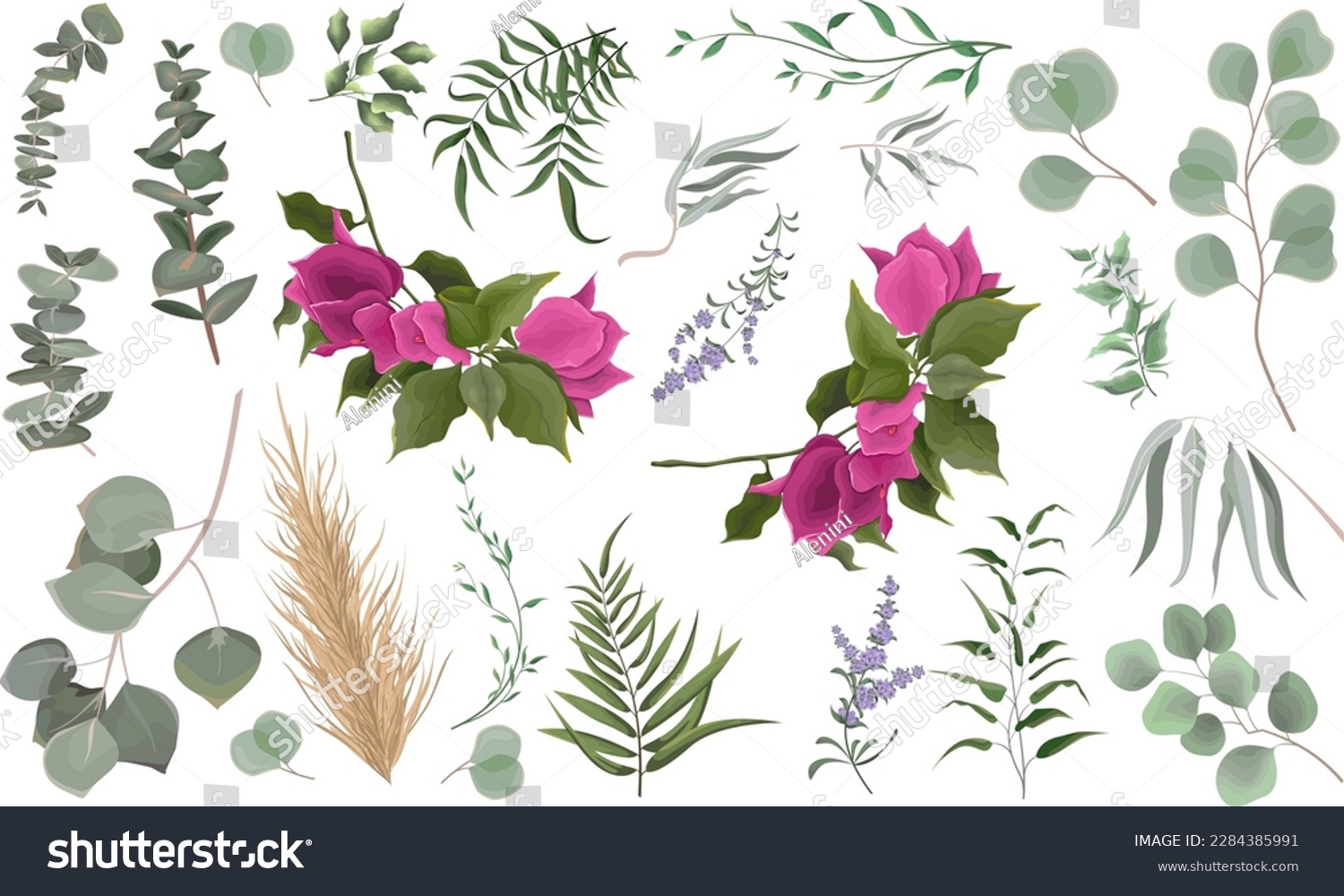 SVG of Mix of herbs and plants vector big collection. Juicy eucalyptus, deadwood, green plants and leaves. All elements are isolated. Branches of bright pink bougainvillea,  lavender.  svg
