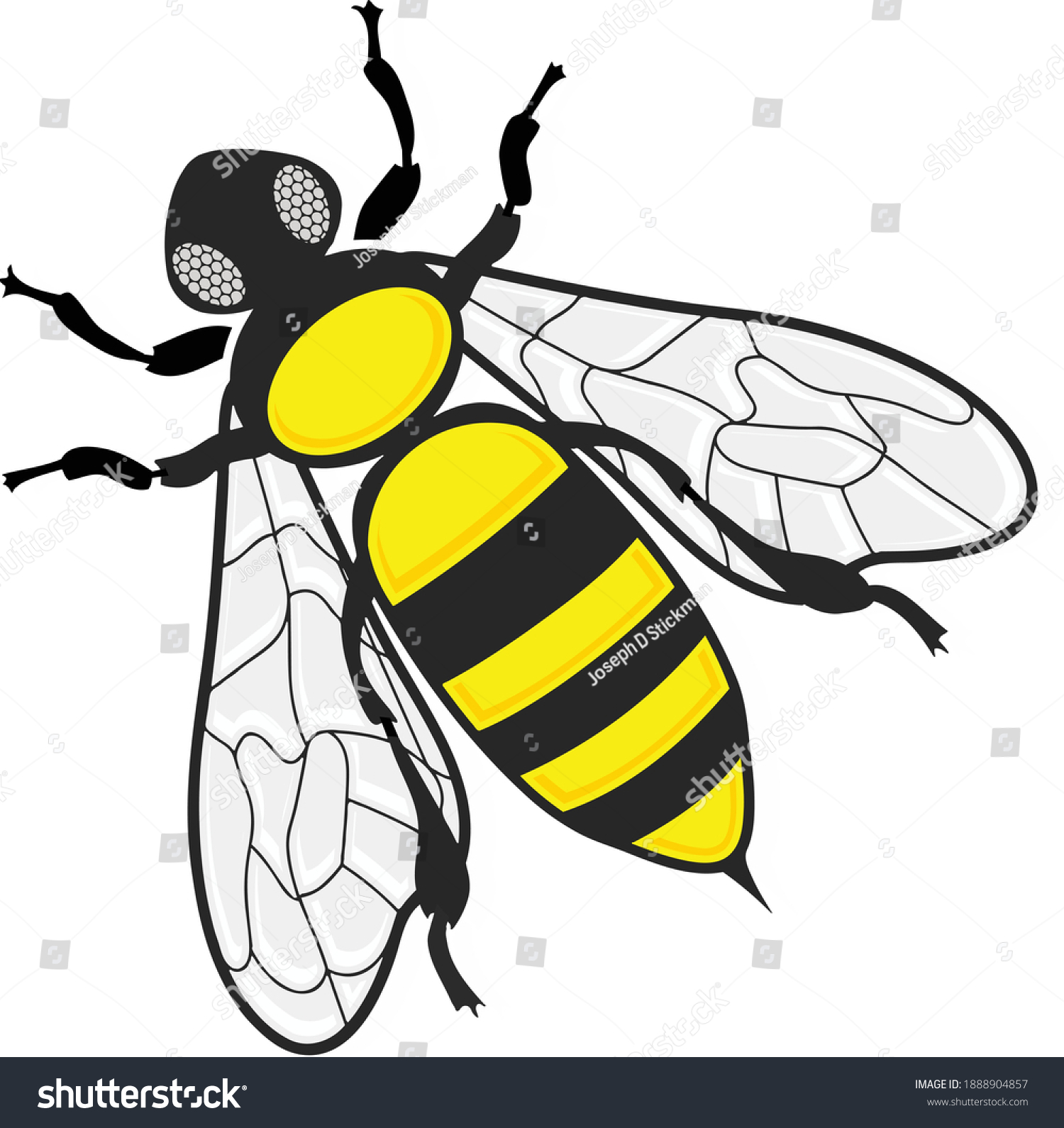 SVG of Modern cartoon style illustration of a black and yellow color bee with legs, eyes and wings. Illustrator eps vector graphic design. svg