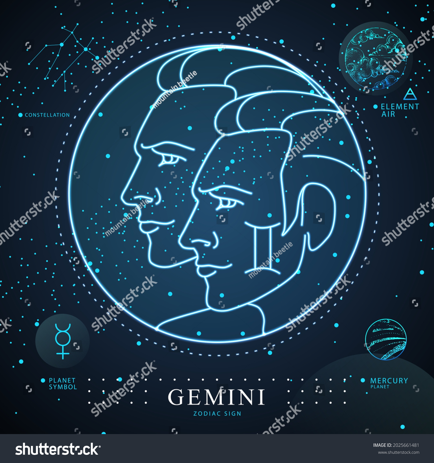 33,340 Gemini Stock Vectors, Images & Vector Art | Shutterstock