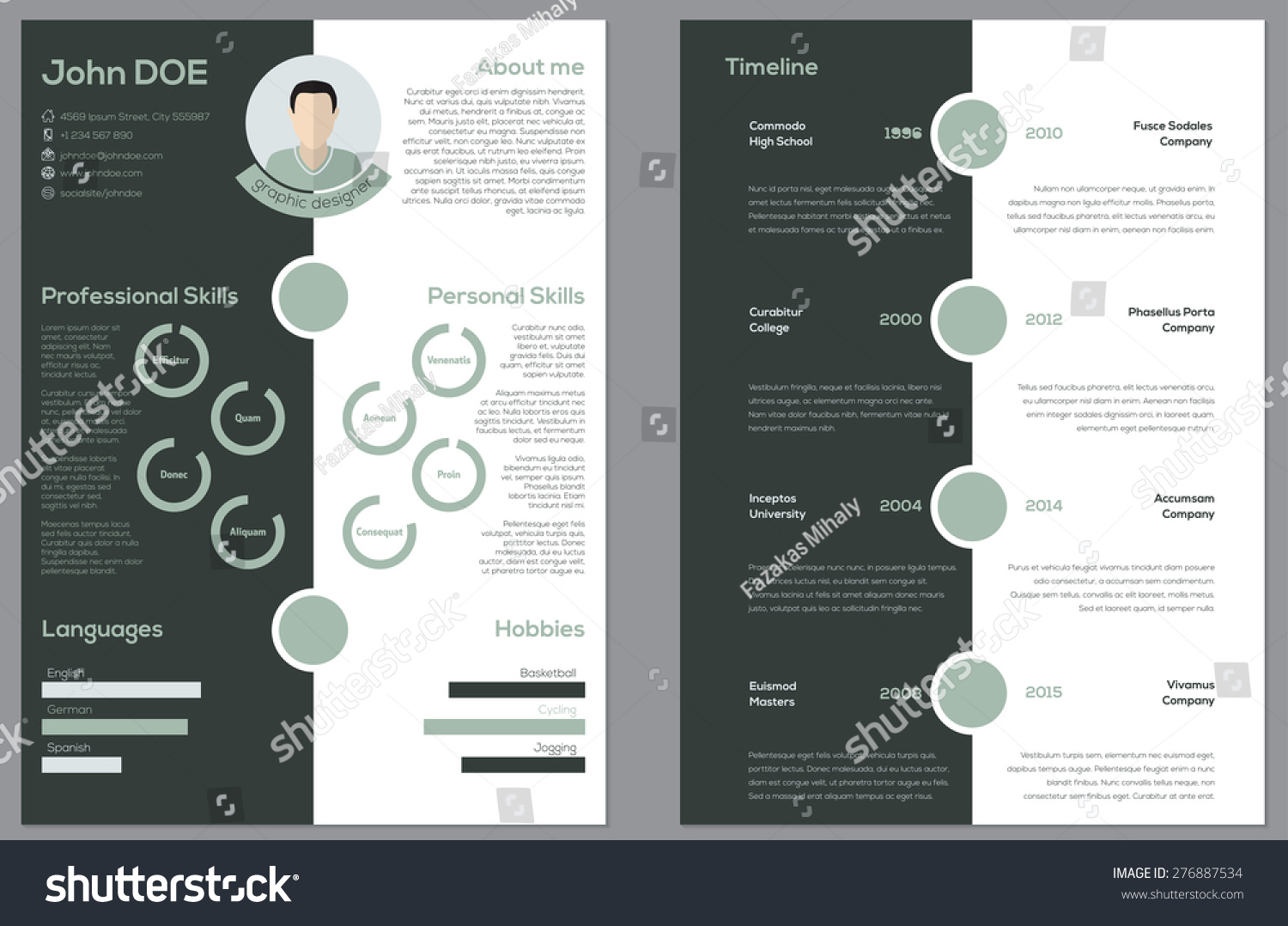 2 curriculum vitae
