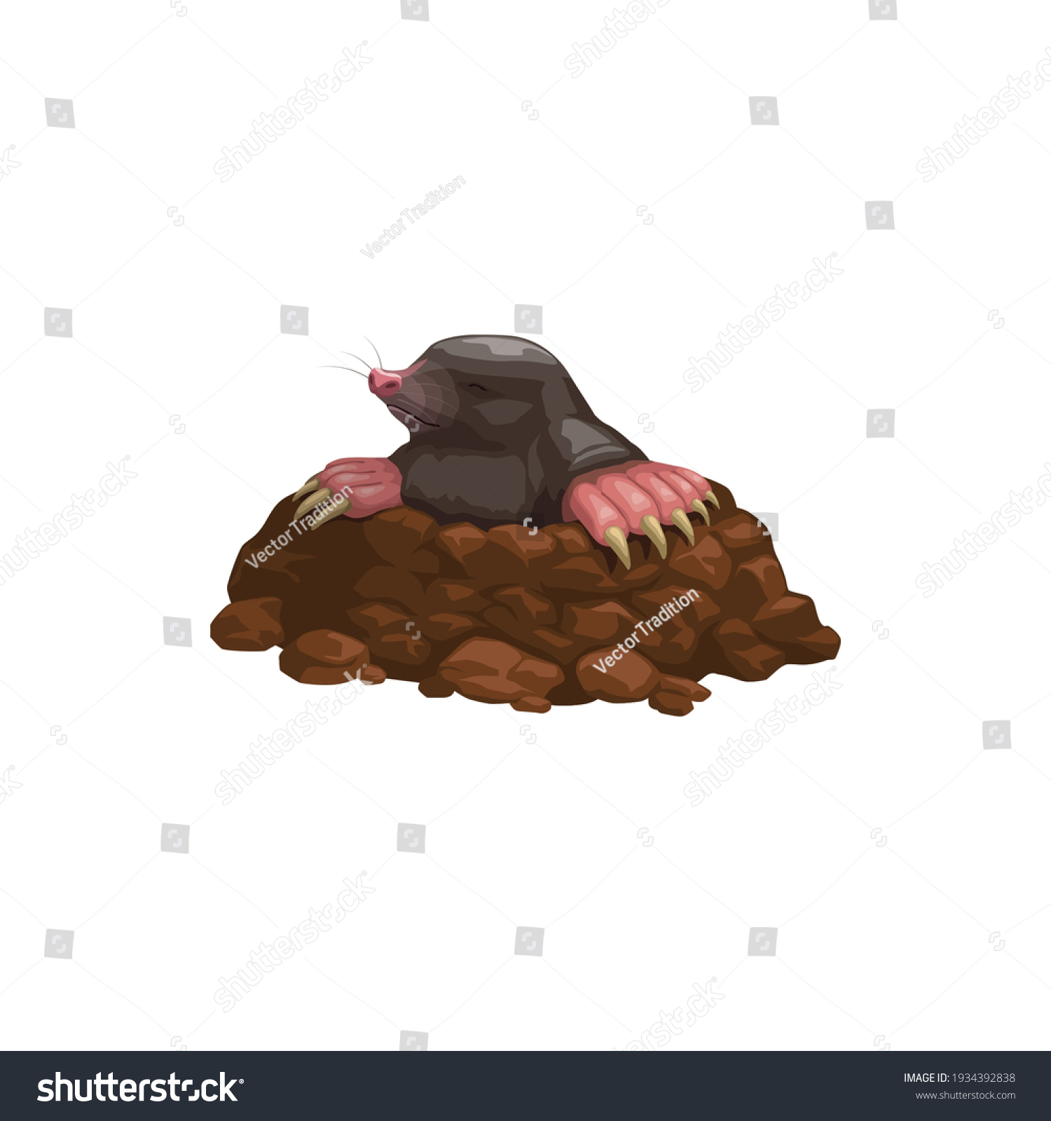 280 Mole killed Images, Stock Photos & Vectors | Shutterstock