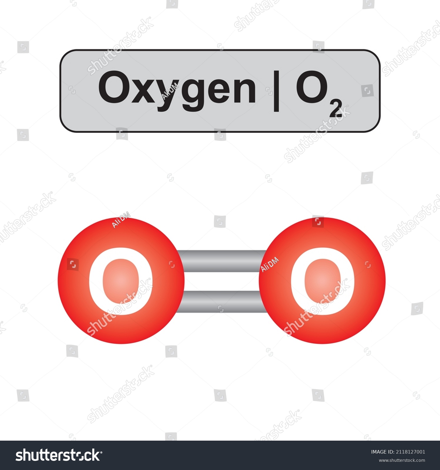 Molecular Model Oxygen O2 Molecule Vector Stock Vector (Royalty Free ...