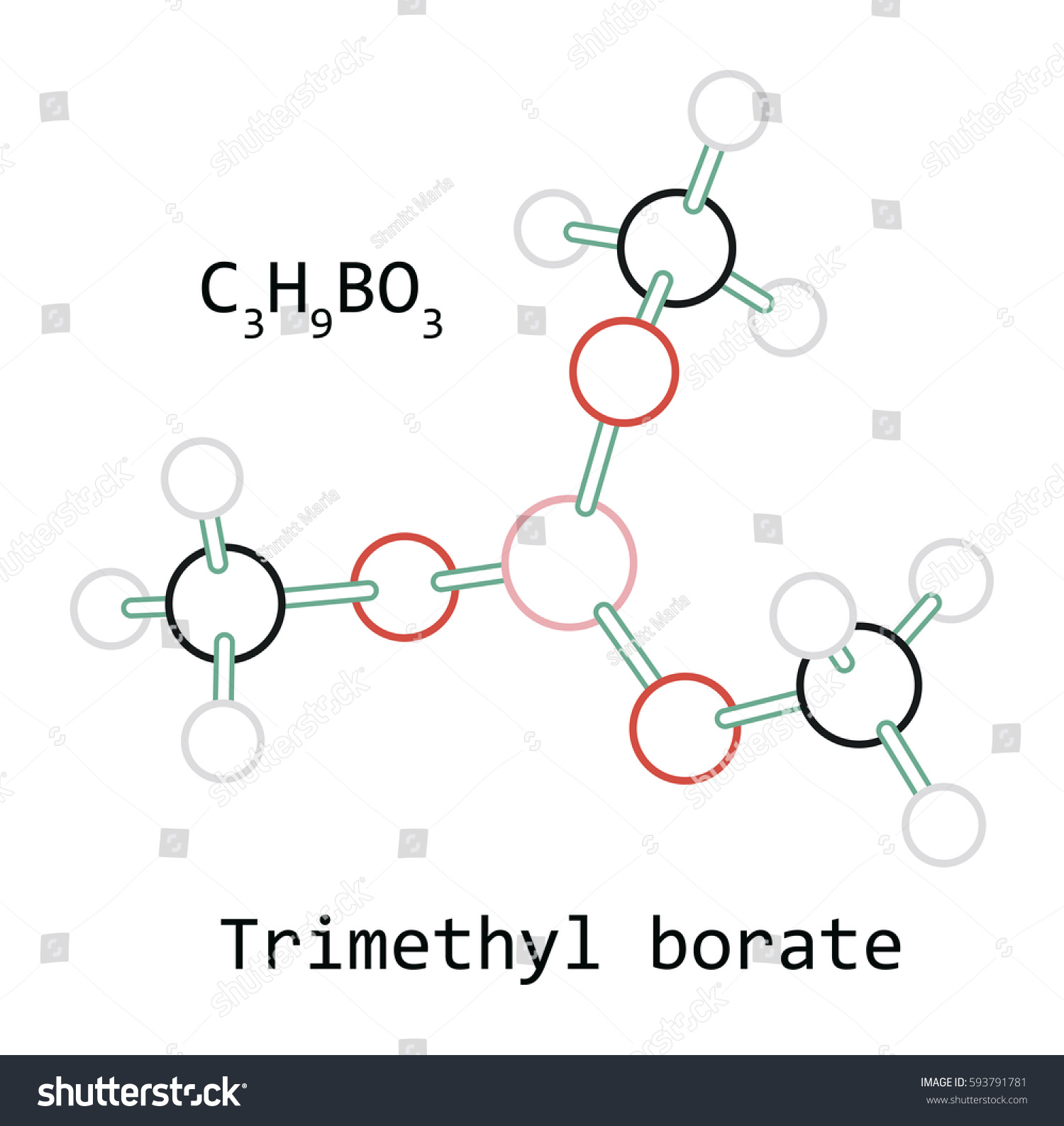 SVG of molecule C3H9BO3 Trimethyl borate svg