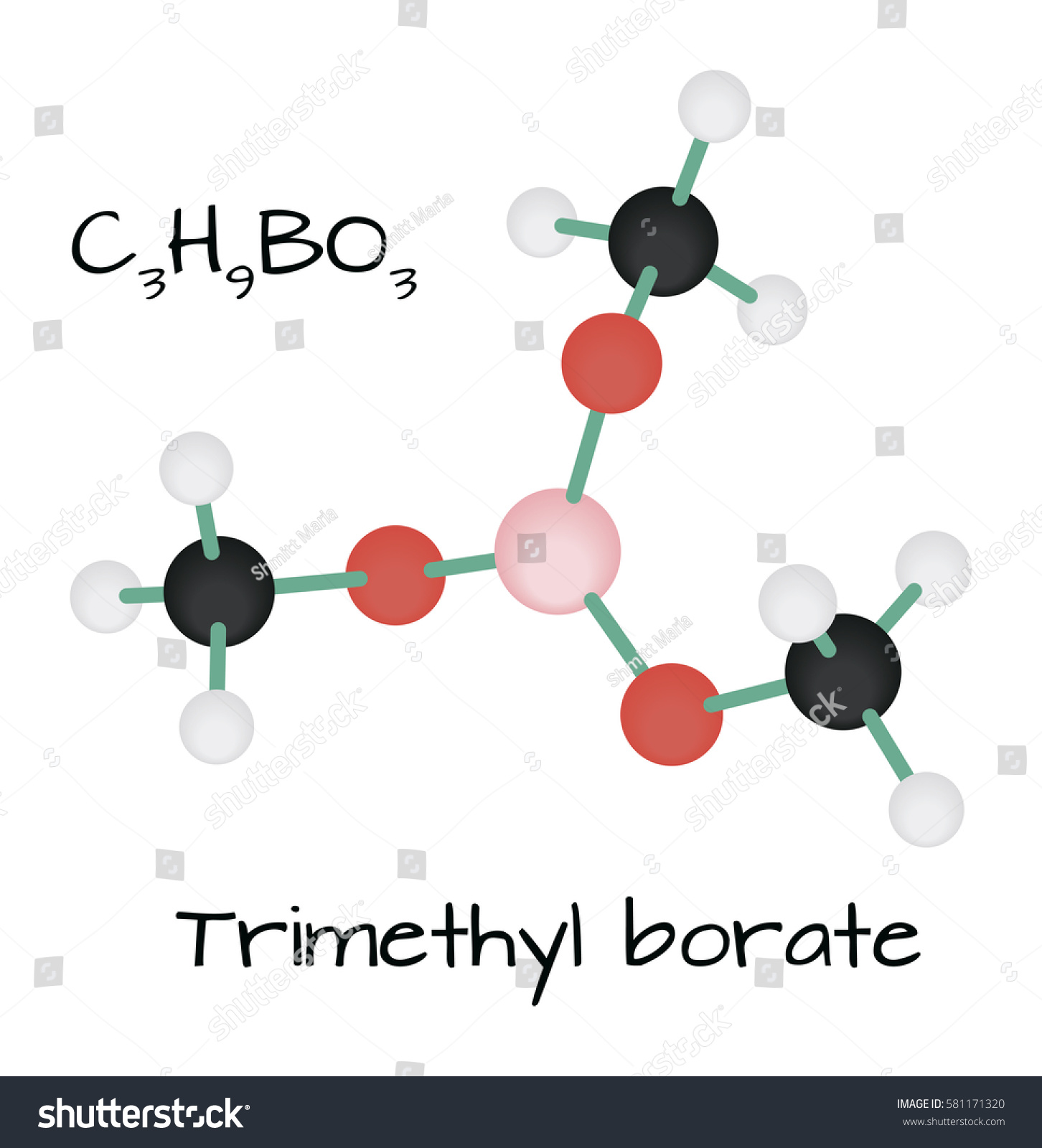SVG of molecule C3H9BO3 Trimethyl borate isolated on white svg