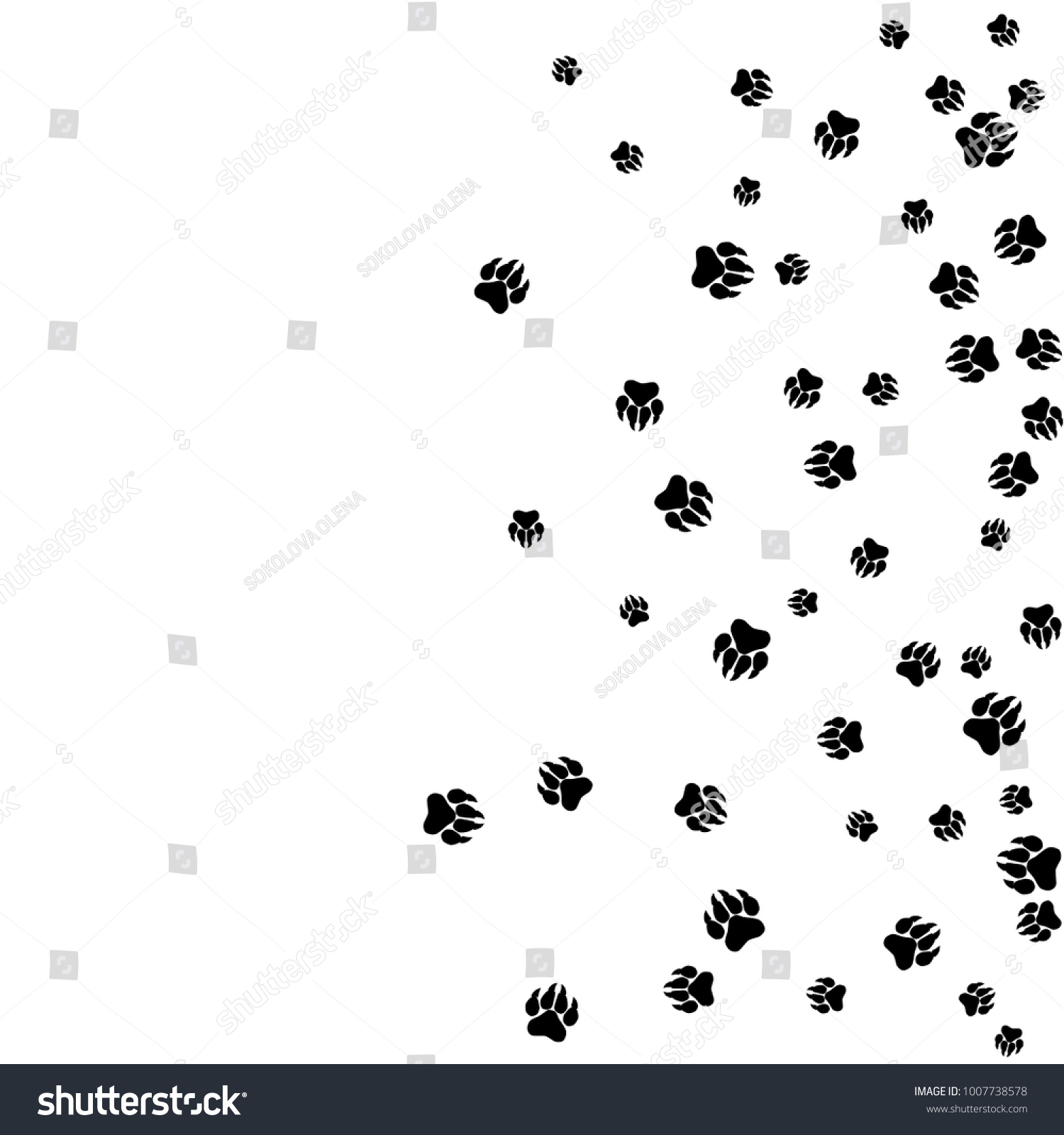 Monochrome Bear Footprints Black White Prints Stock Vector (Royalty ...