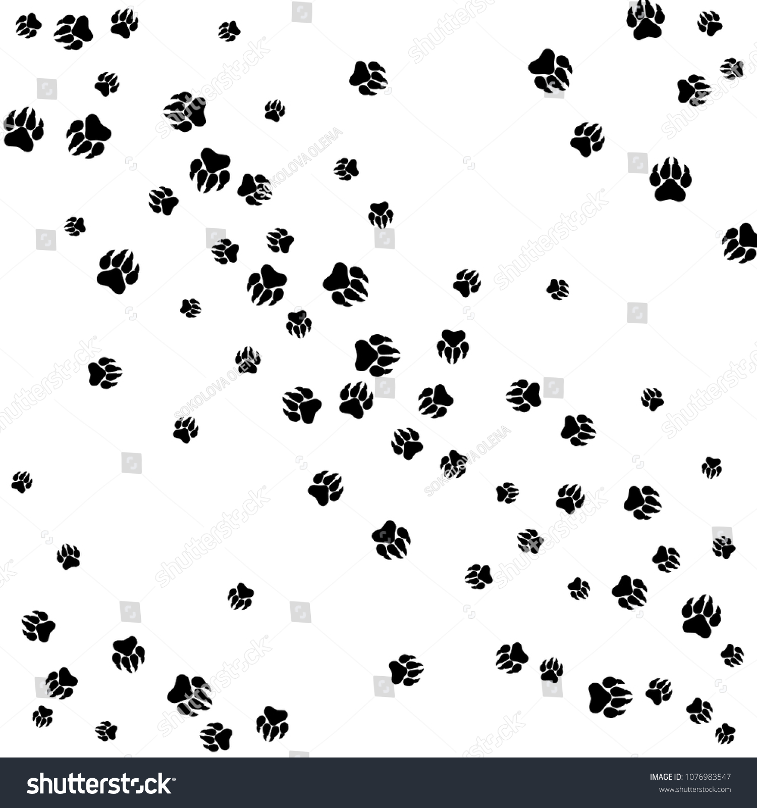 Monochrome Bear Footprints Black White Prints Stock Vector (Royalty ...