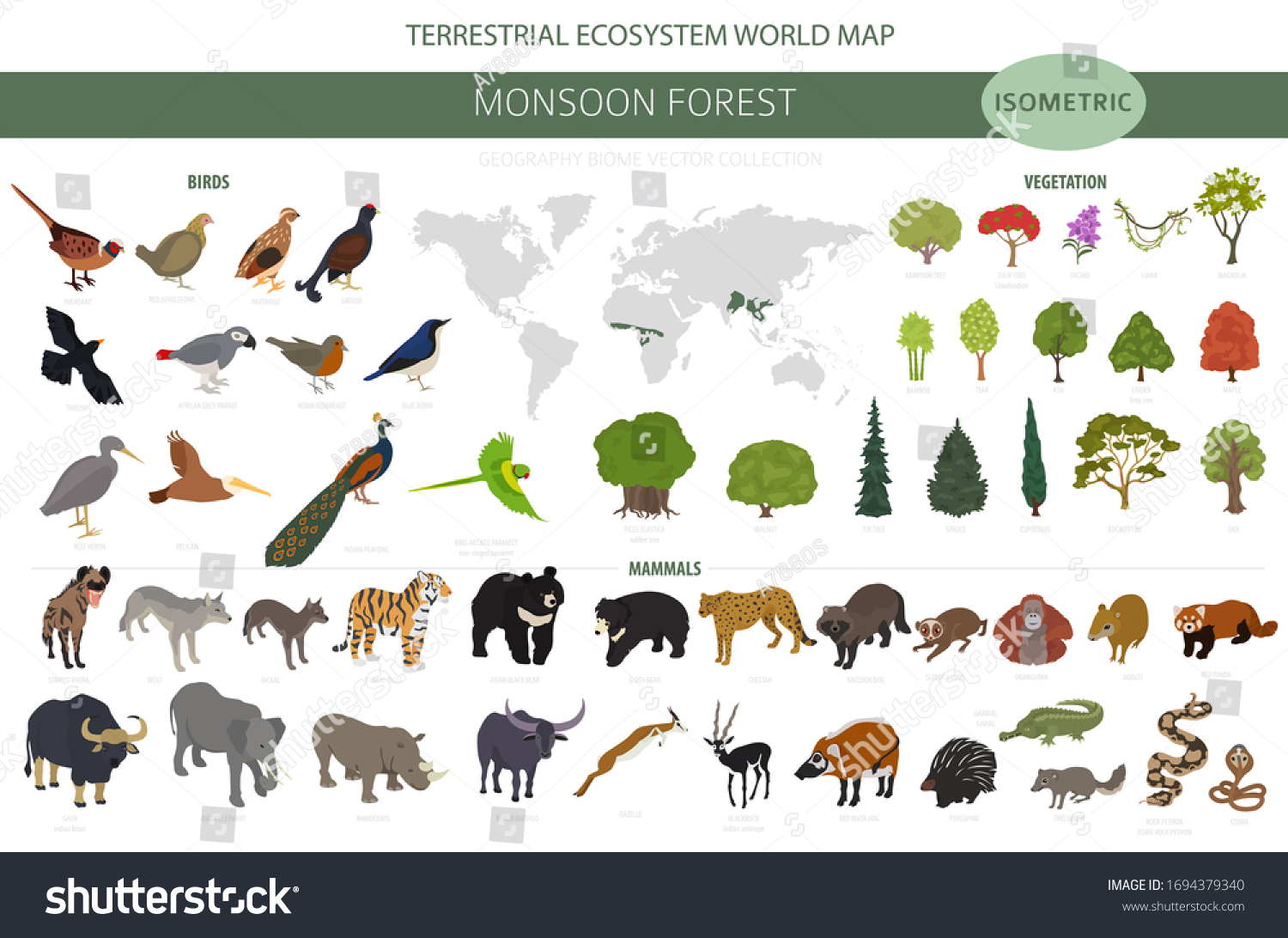 SVG of Monsoon forest biome, natural region infographic. Terrestrial ecosystem world map. Animals, birds and vegetations isometric design set. Vector illustration svg
