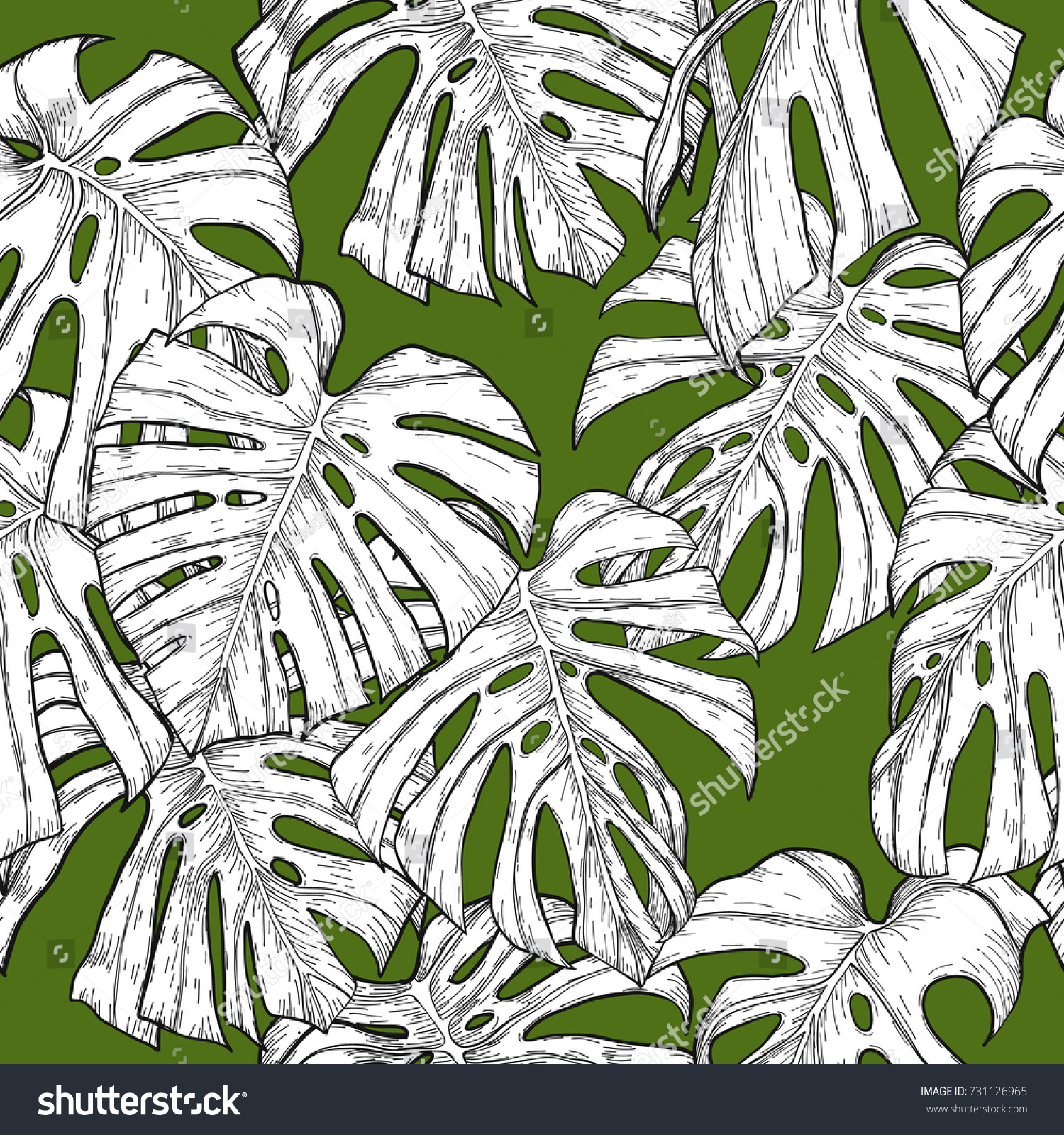 Monstera Pattern By Hand Drawingmonstera Vector เวกเตอร์สต็อก (ปลอดค่า