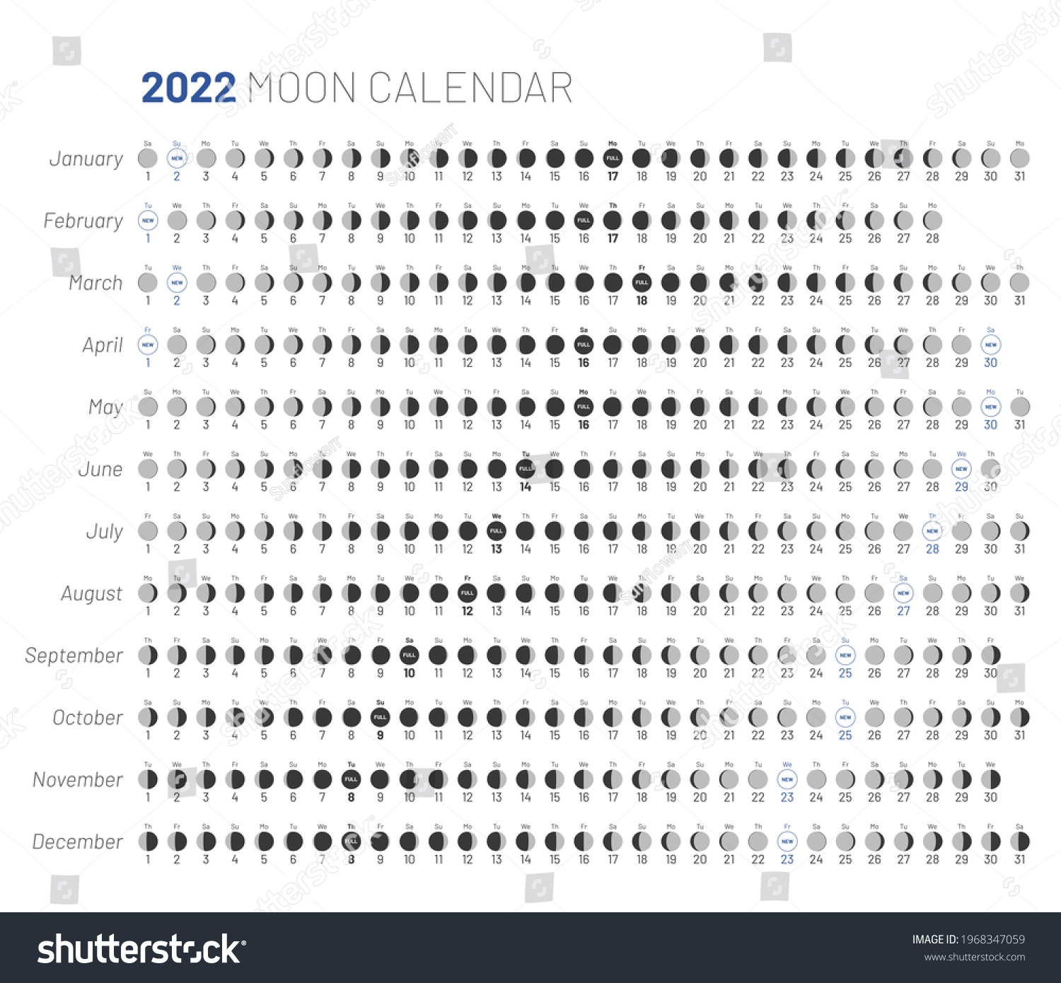 Lunar Schedule 2022 Moon Lunar Calendar Monthly Cycle Planner Stock Vector (Royalty Free)  1968347059