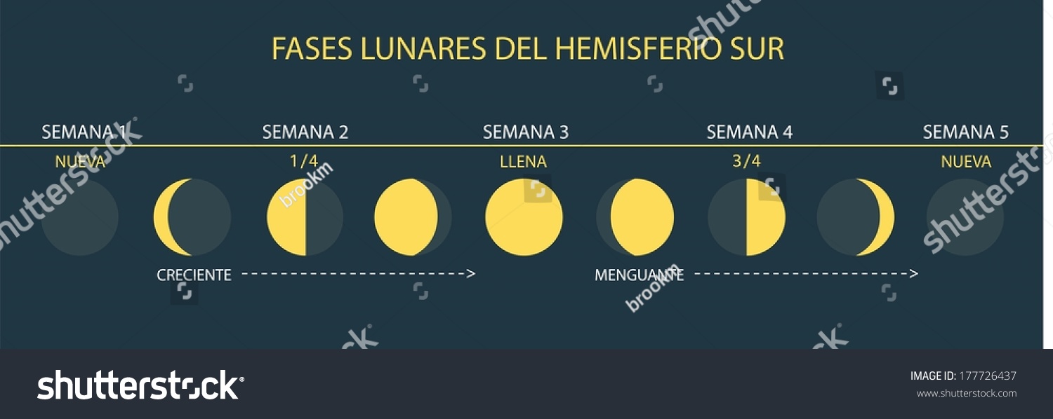 Moon Phases Equator Spanishespanol Stock Vector (Royalty Free