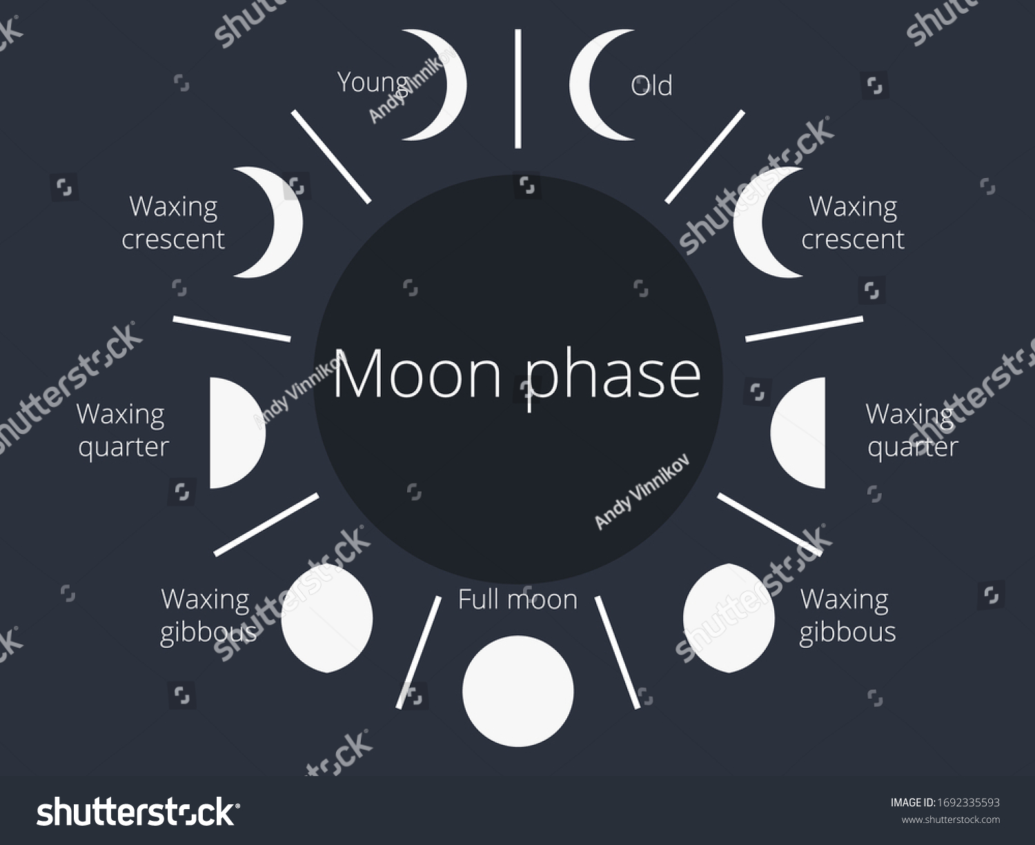 Moon Phases Whole Cycle New Moon Stock Vector Royalty Free 1692335593 Moon Phases Whole Cycle New Moon Stock Vector Royalty Free 1692335593