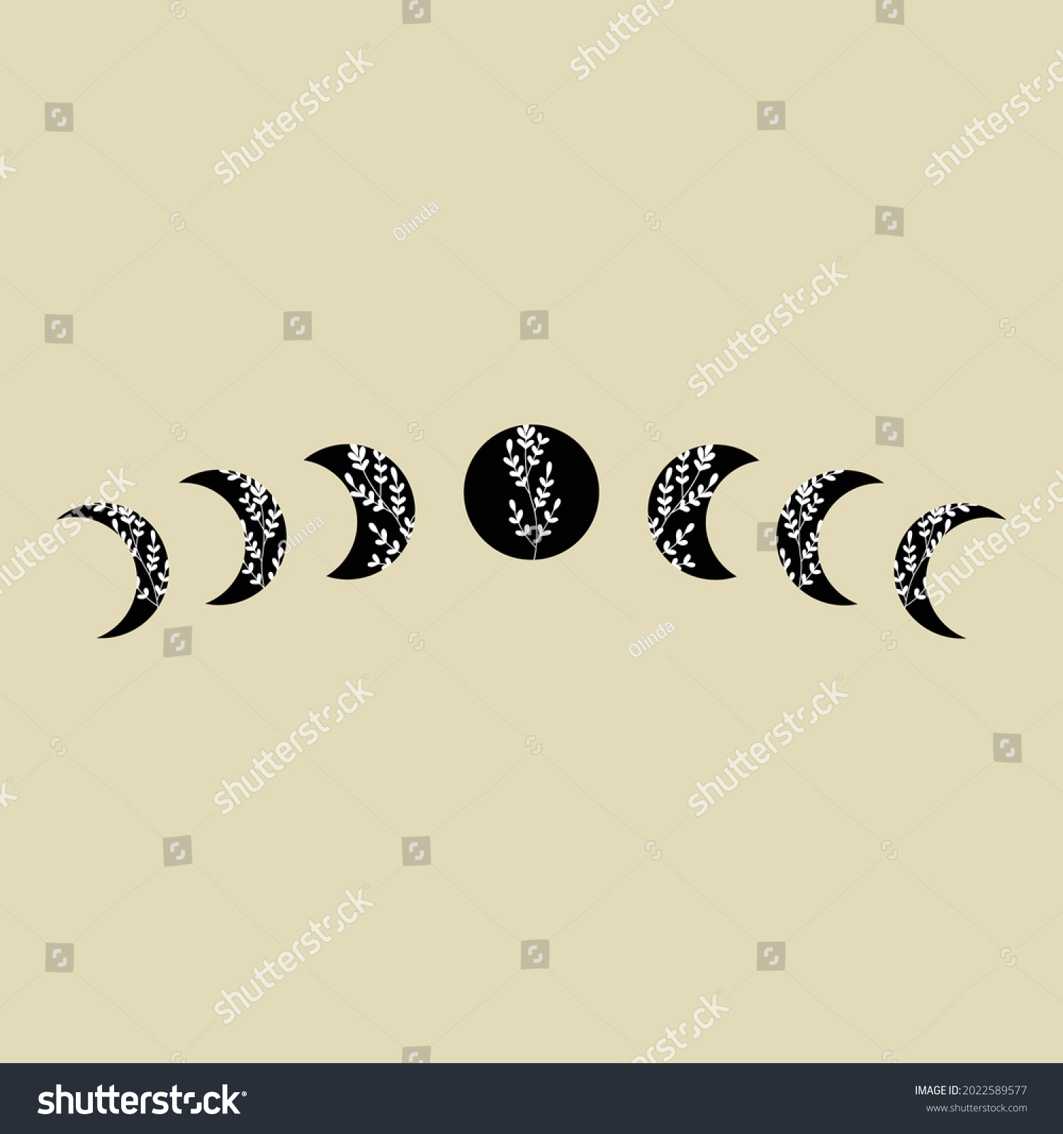 SVG of Moon phases with black crescent and full moon with white lace floral ornament. Design element for logos icons. Modern Boho style svg
