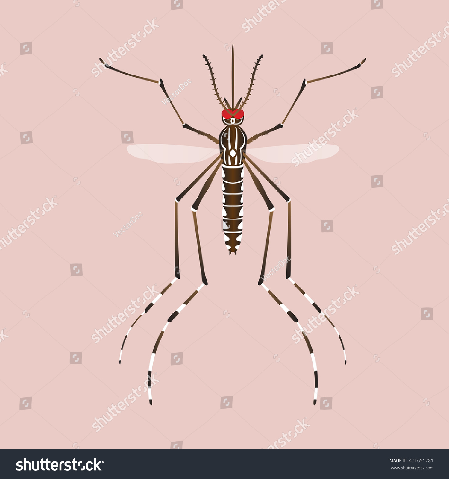 Mosquitoes Carry Many Disease Such Dengue Stock Vector Royalty Free 401651281