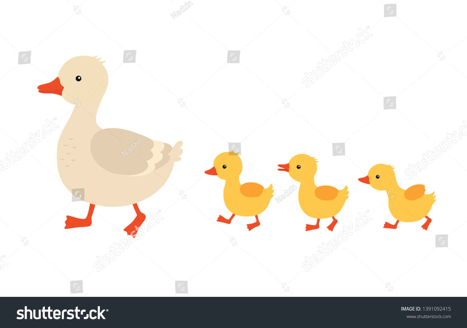 Vektor Stok Mother Duck Ducklings Cute Baby Ducks Tanpa Royalti 1391092415