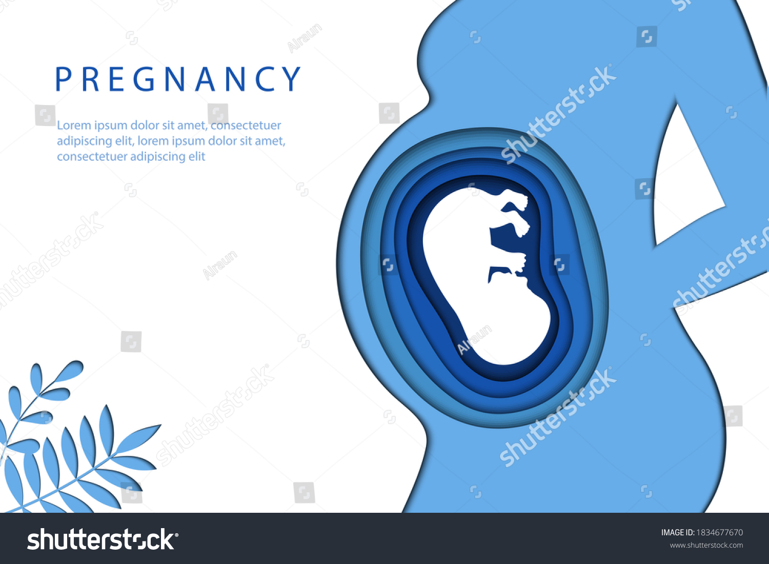 Motherhood Pregnancy Stages Trimesters Concept Body Stock Vector ...