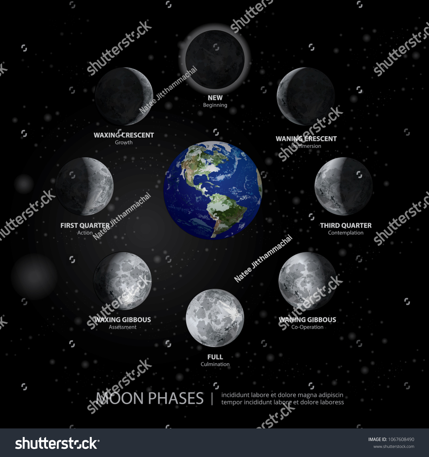 Movements Moon Phases Realistic Vector Illustration Stock Vector ...