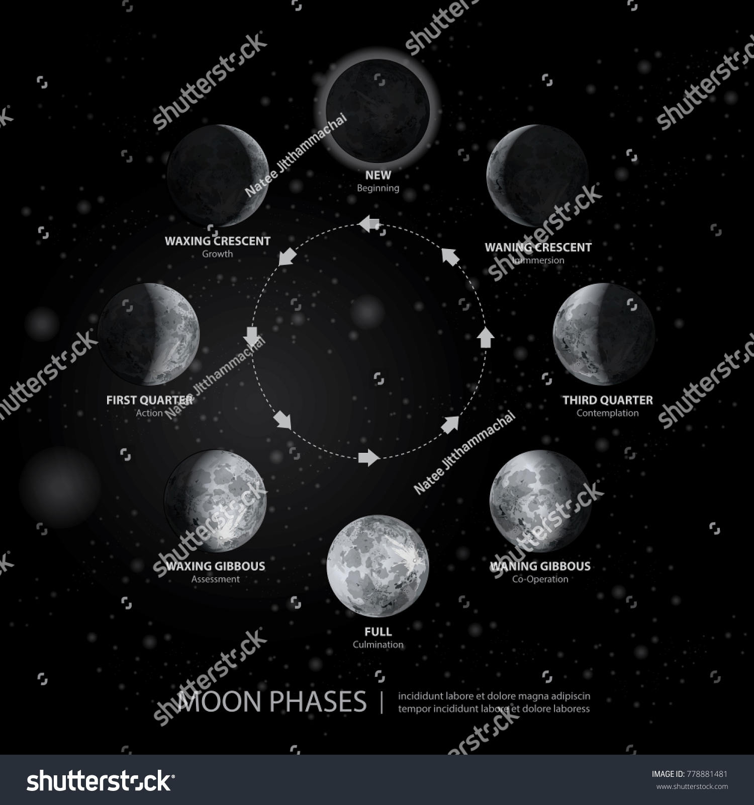 Movements Moon Phases Realistic Vector Illustration Stock Vector ...