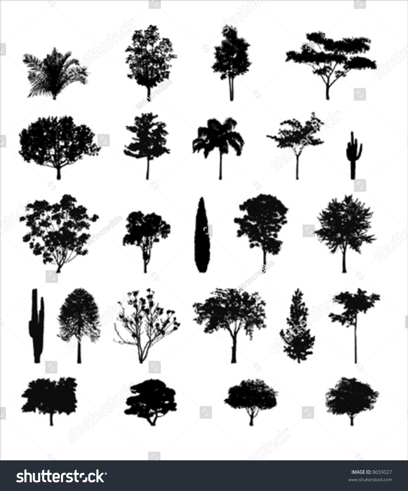SVG of Multiple Tree Silhouettes svg